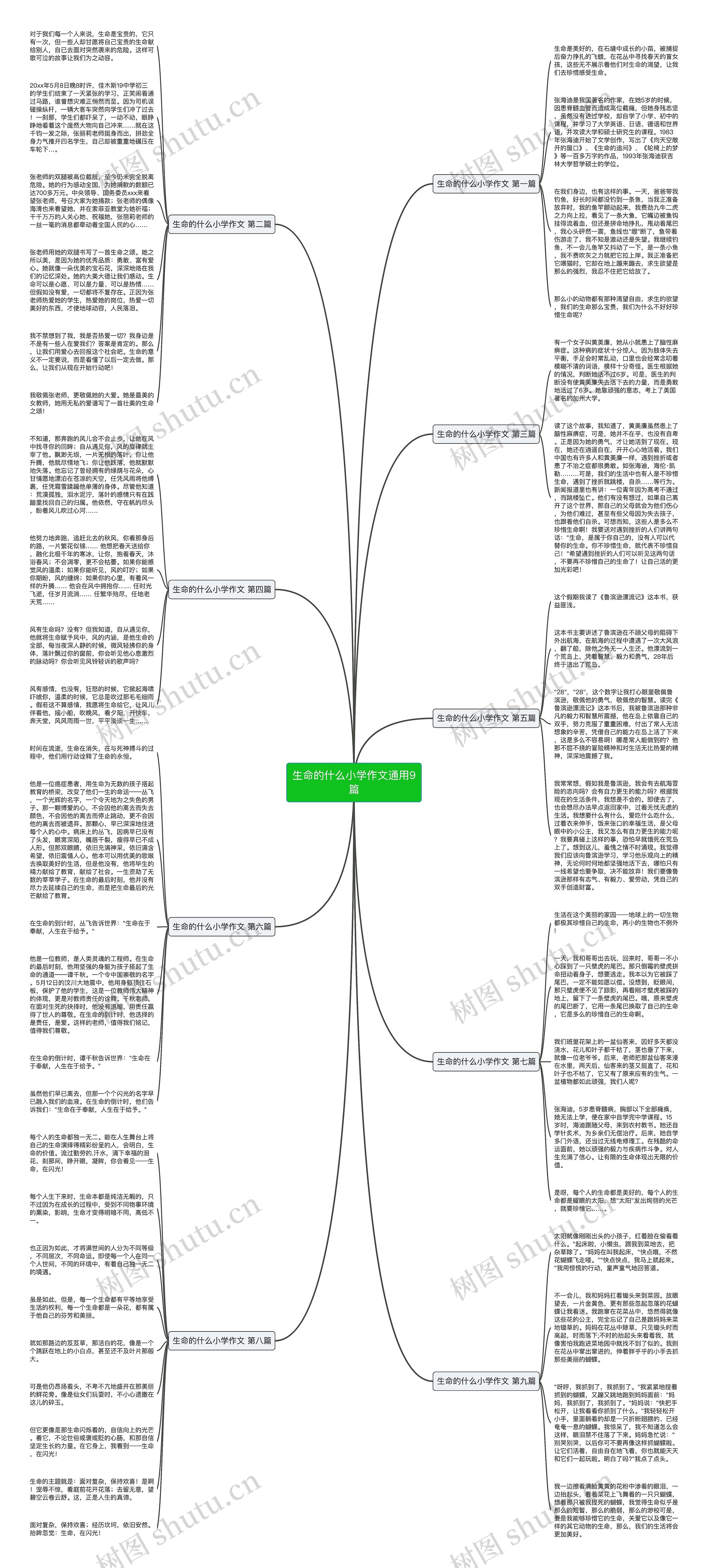 生命的什么小学作文通用9篇思维导图