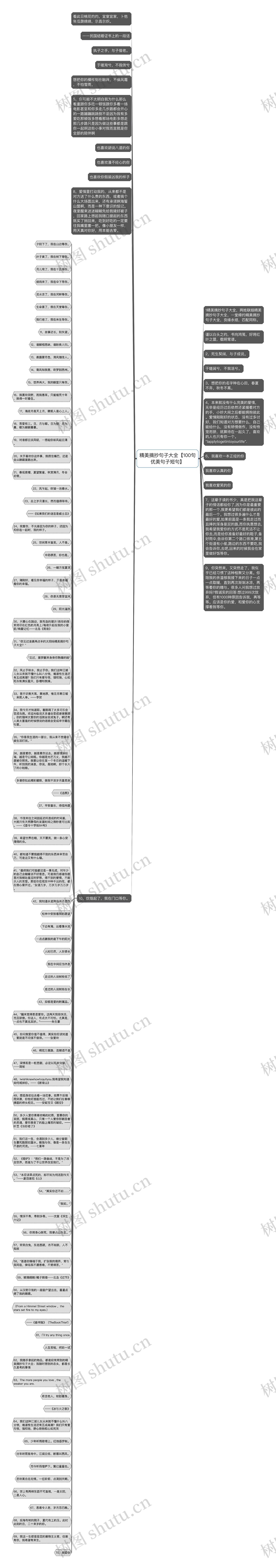 精美摘抄句子大全【100句优美句子短句】思维导图