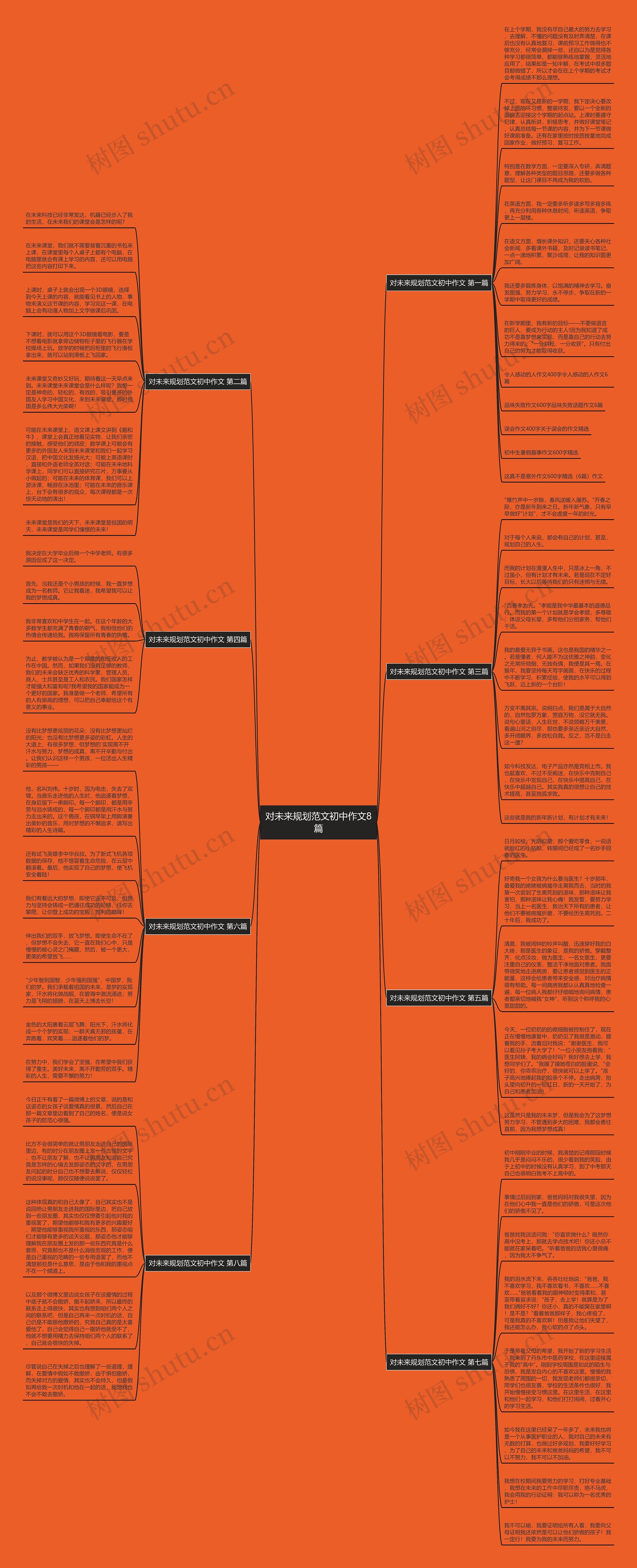 对未来规划范文初中作文8篇思维导图