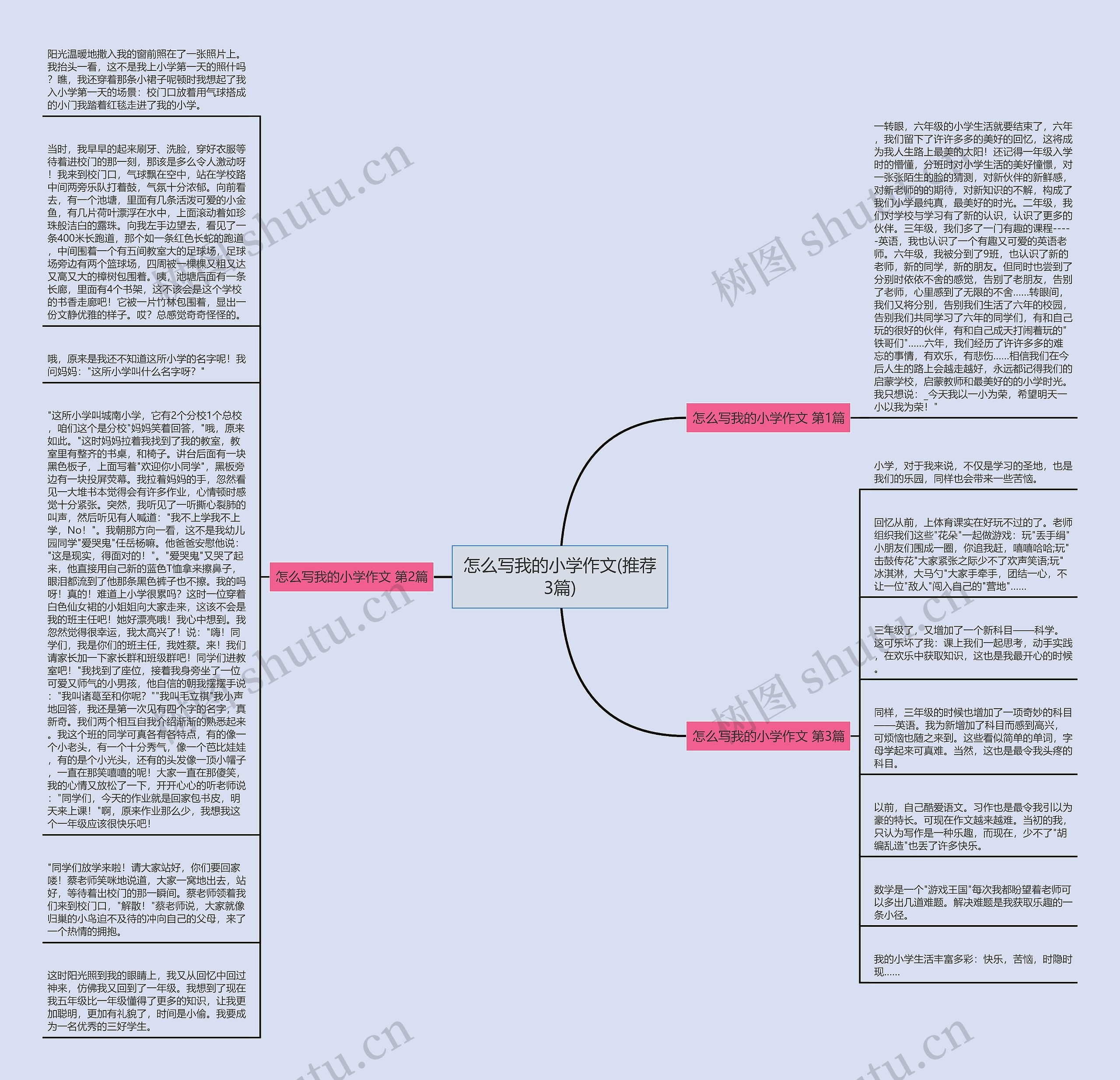怎么写我的小学作文(推荐3篇)思维导图