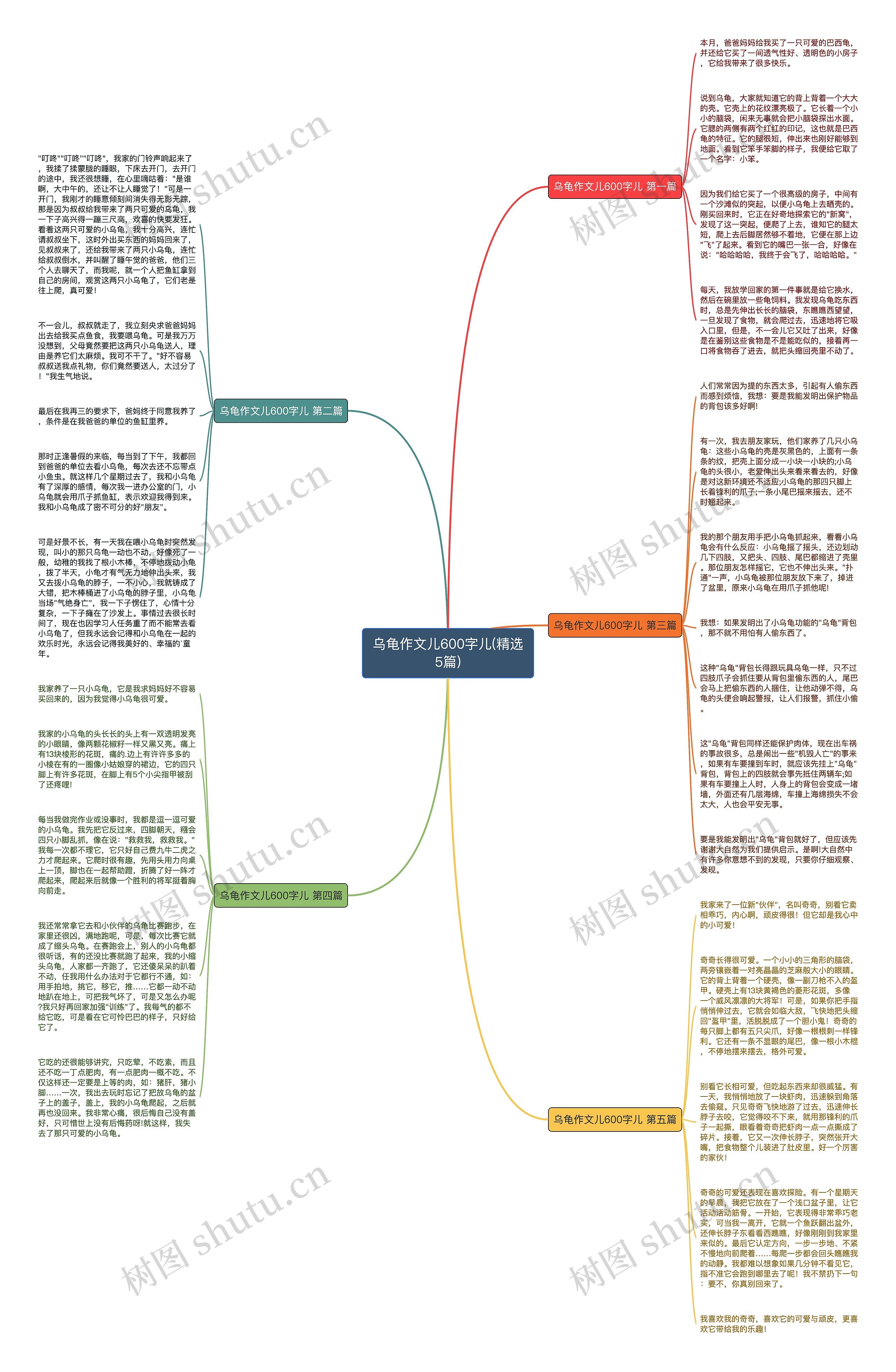 乌龟作文儿600字儿(精选5篇)思维导图