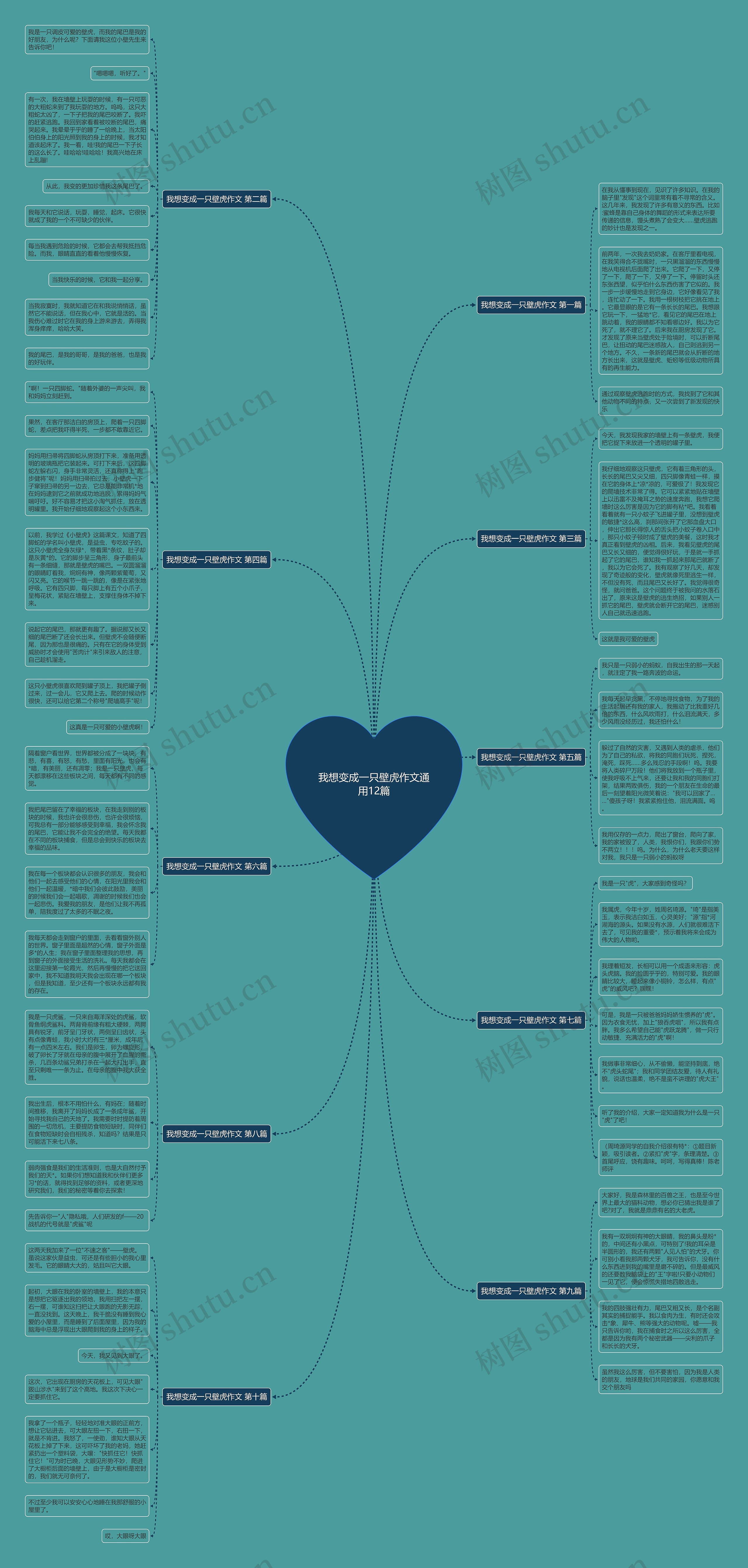 我想变成一只壁虎作文通用12篇思维导图