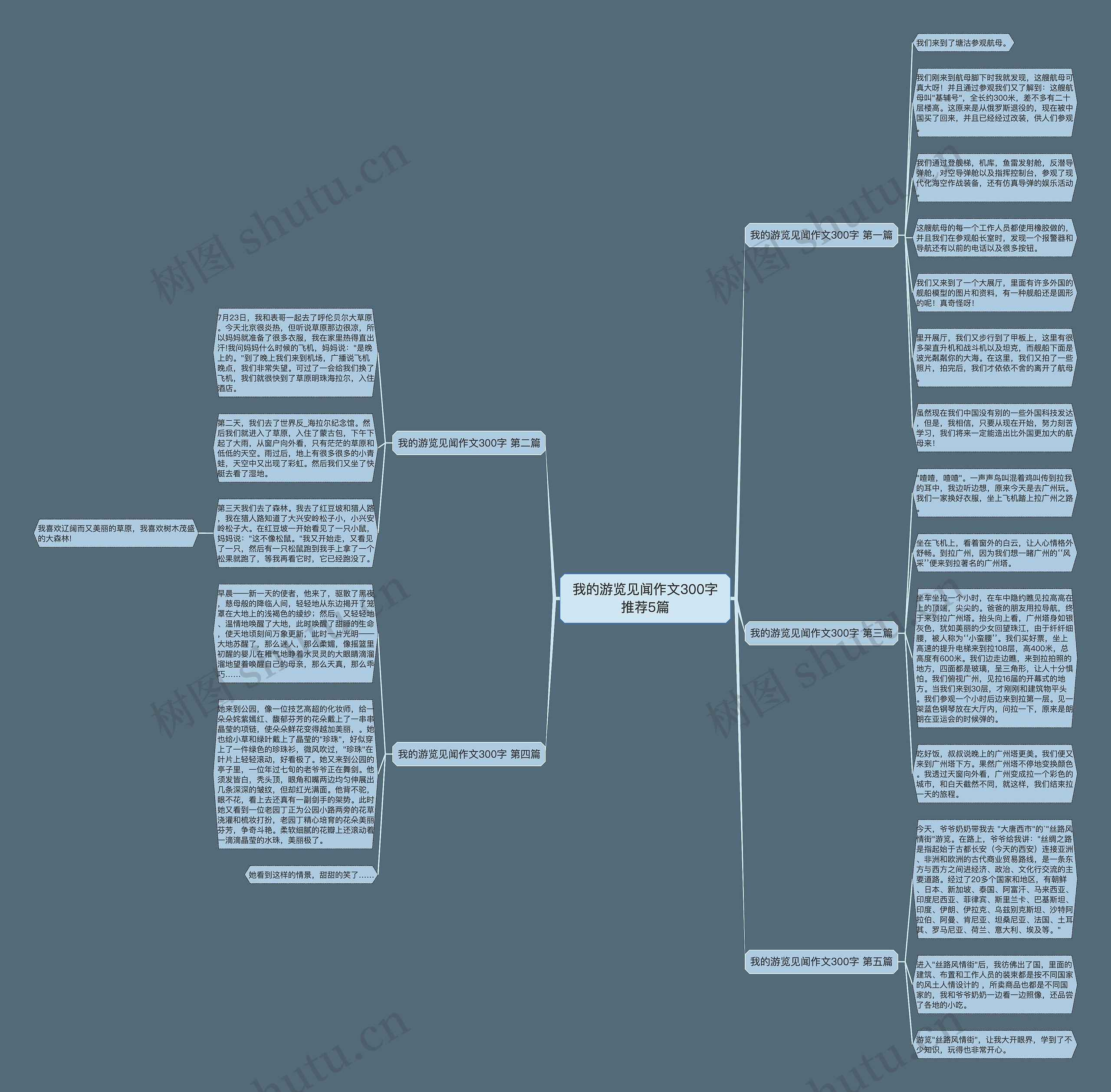我的游览见闻作文300字推荐5篇思维导图