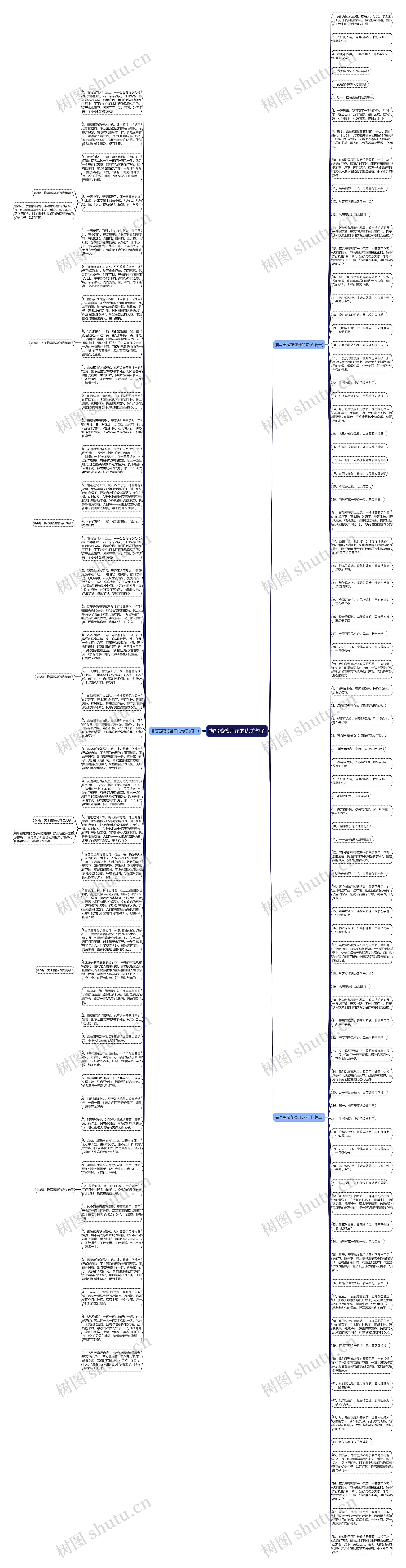 描写蔷薇开花的优美句子思维导图