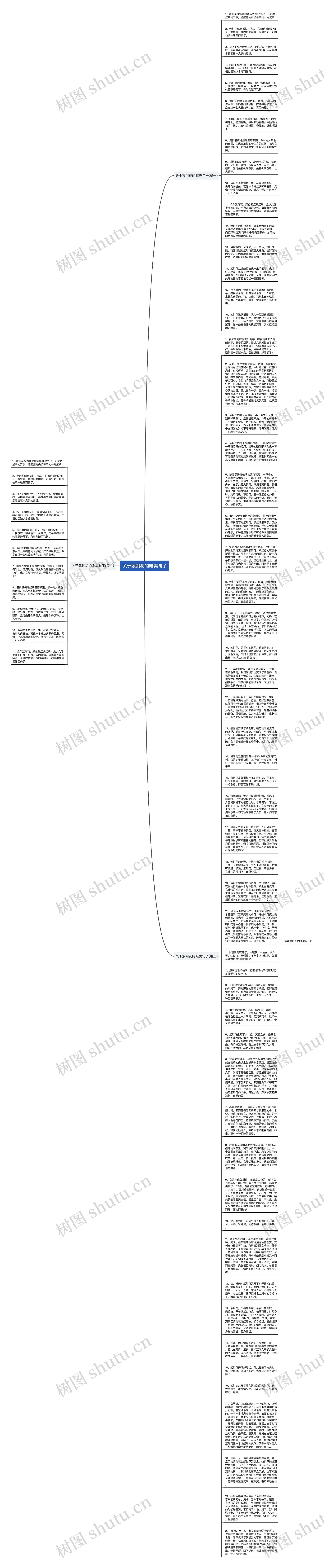 关于紫荆花的唯美句子思维导图