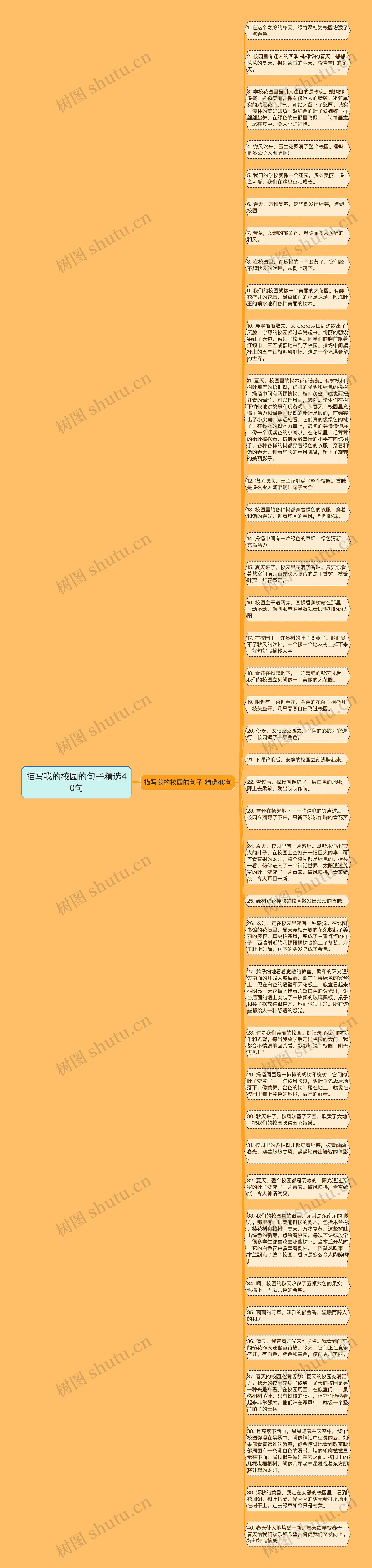 描写我的校园的句子精选40句思维导图