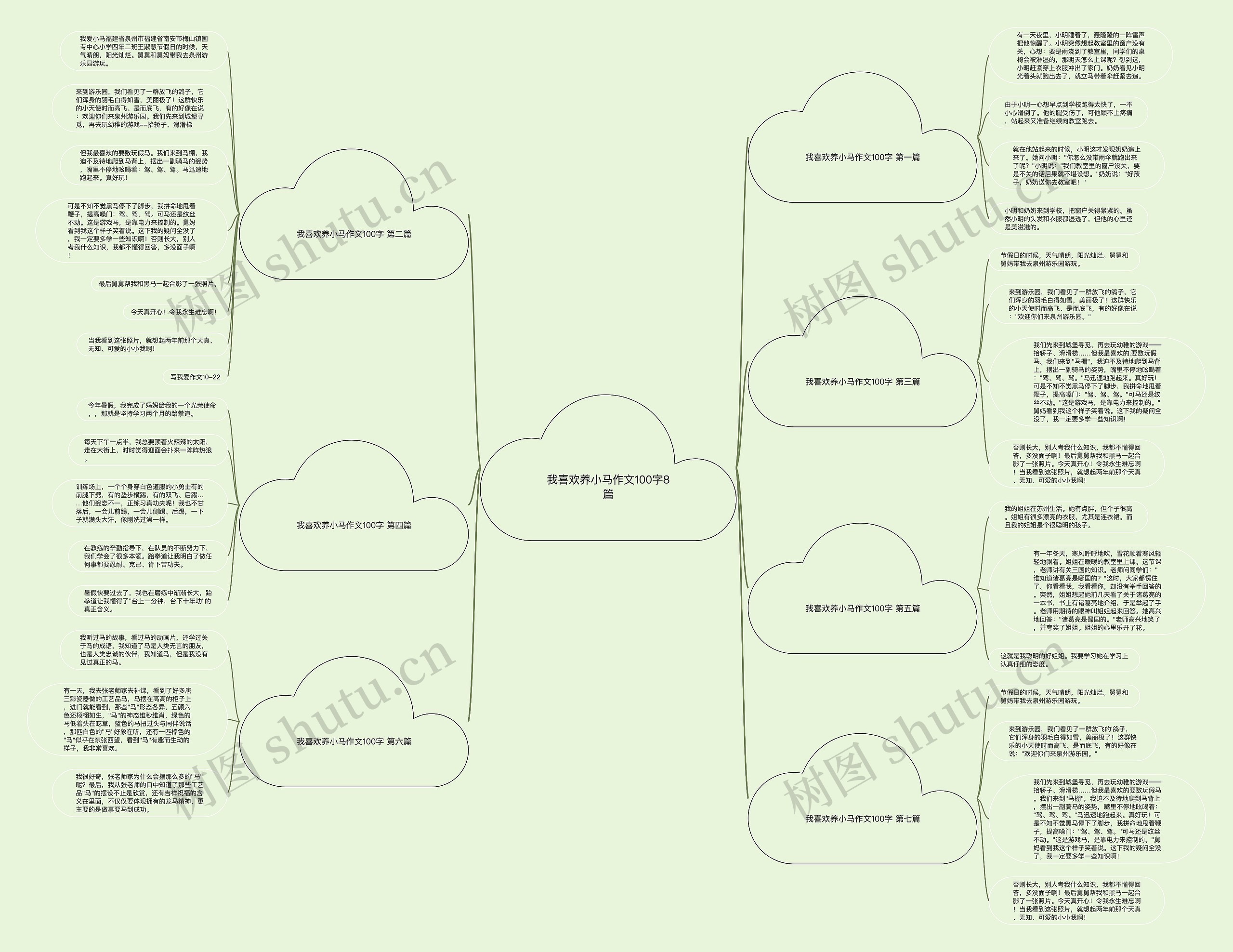 我喜欢养小马作文100字8篇思维导图