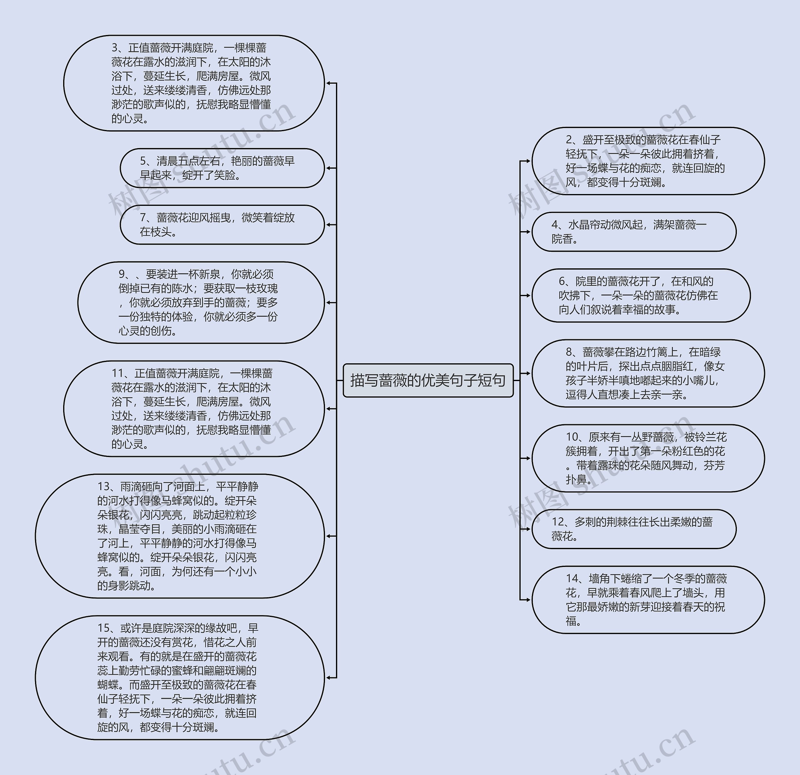 描写蔷薇的优美句子短句思维导图