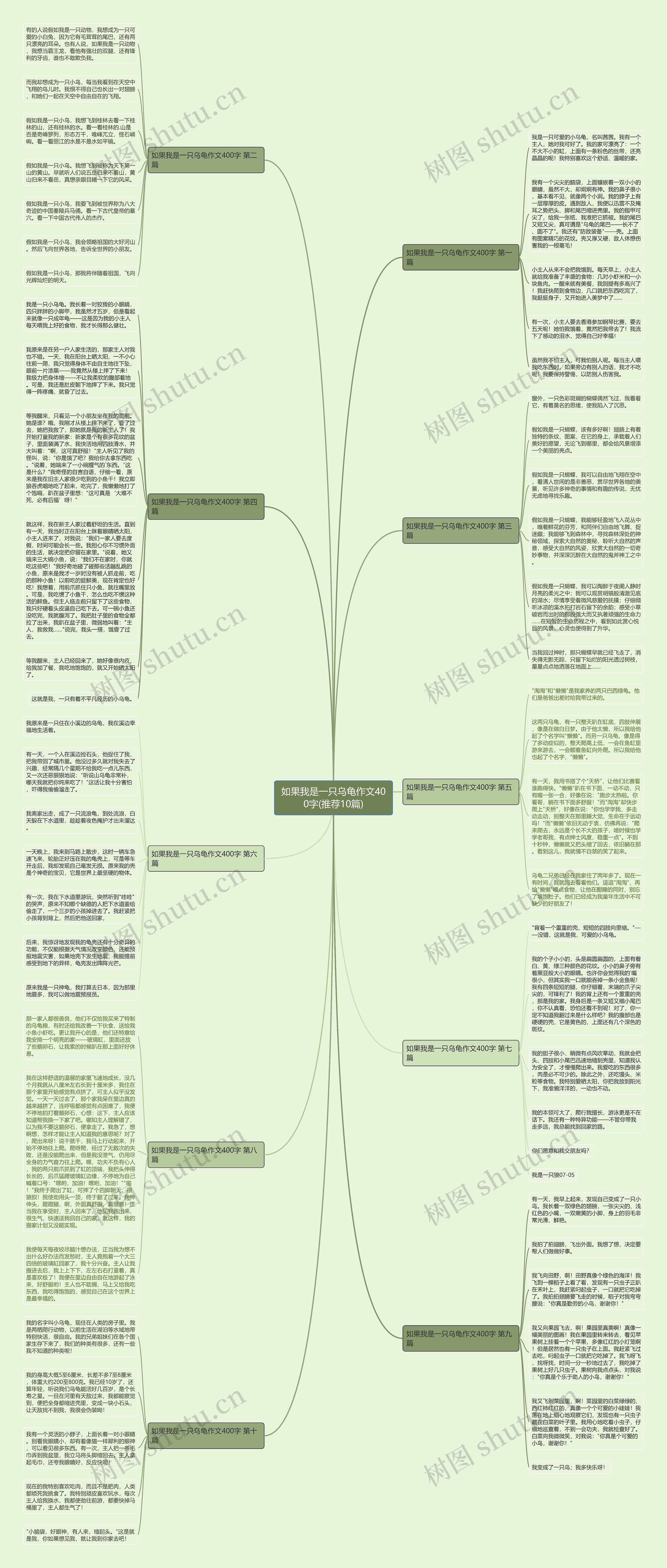 如果我是一只乌龟作文400字(推荐10篇)思维导图