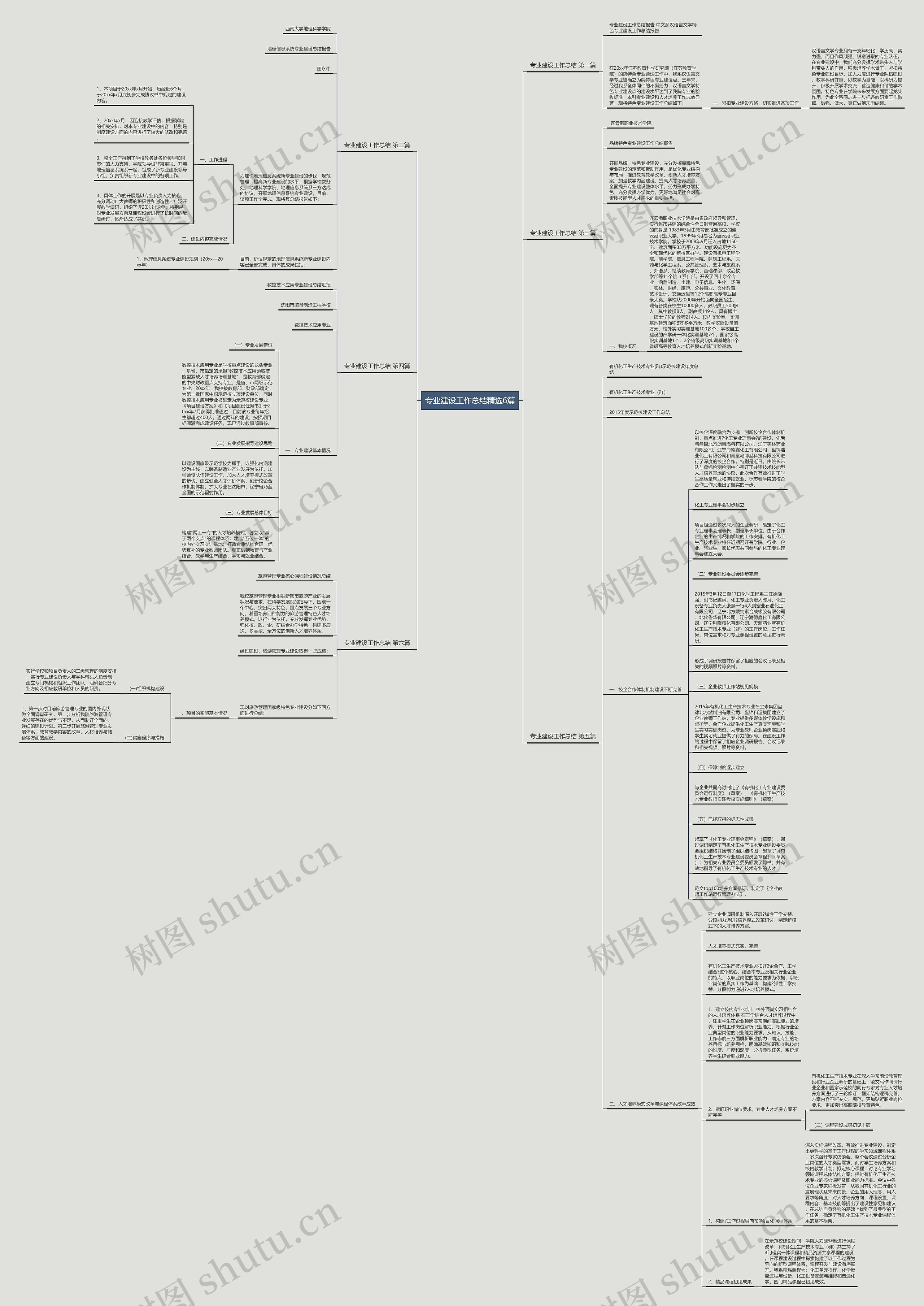 专业建设工作总结精选6篇思维导图