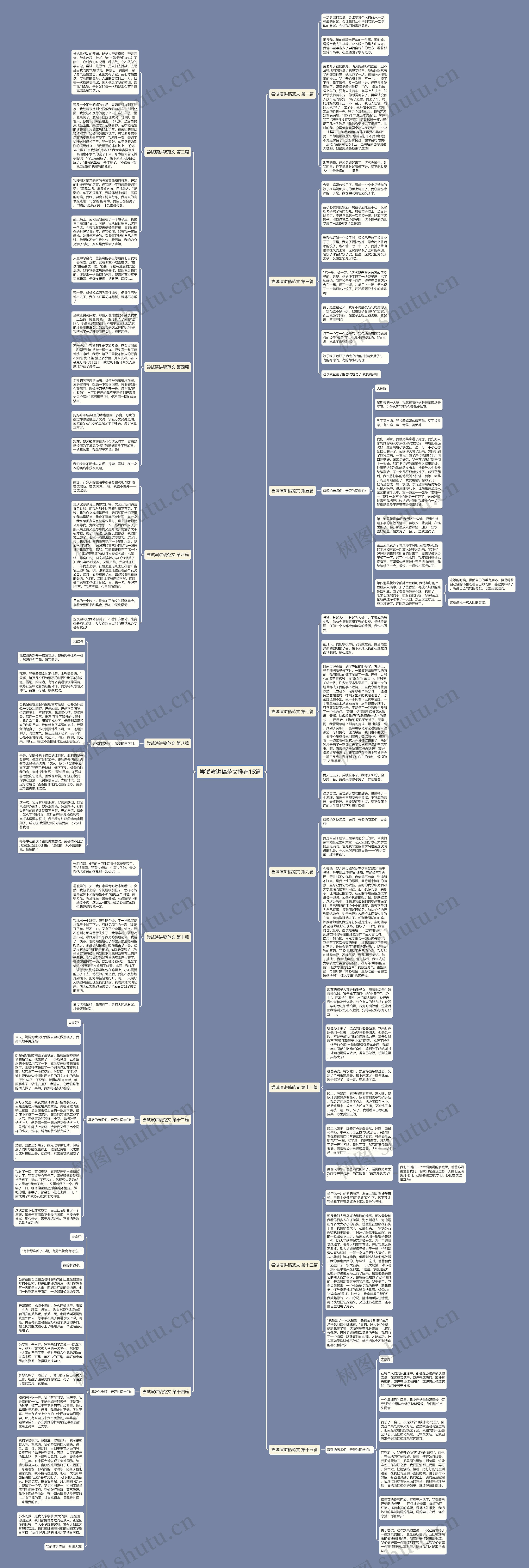 尝试演讲稿范文推荐15篇思维导图