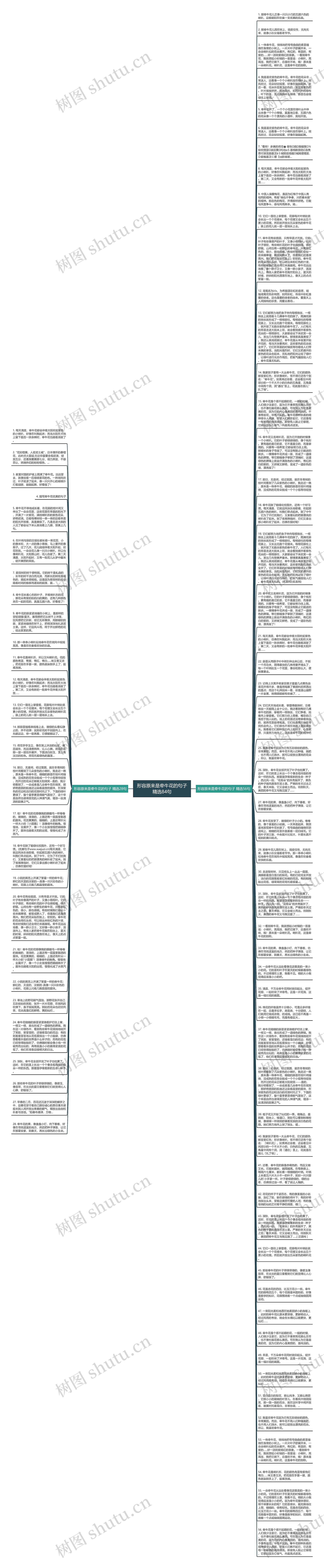 形容原来是牵牛花的句子精选84句思维导图
