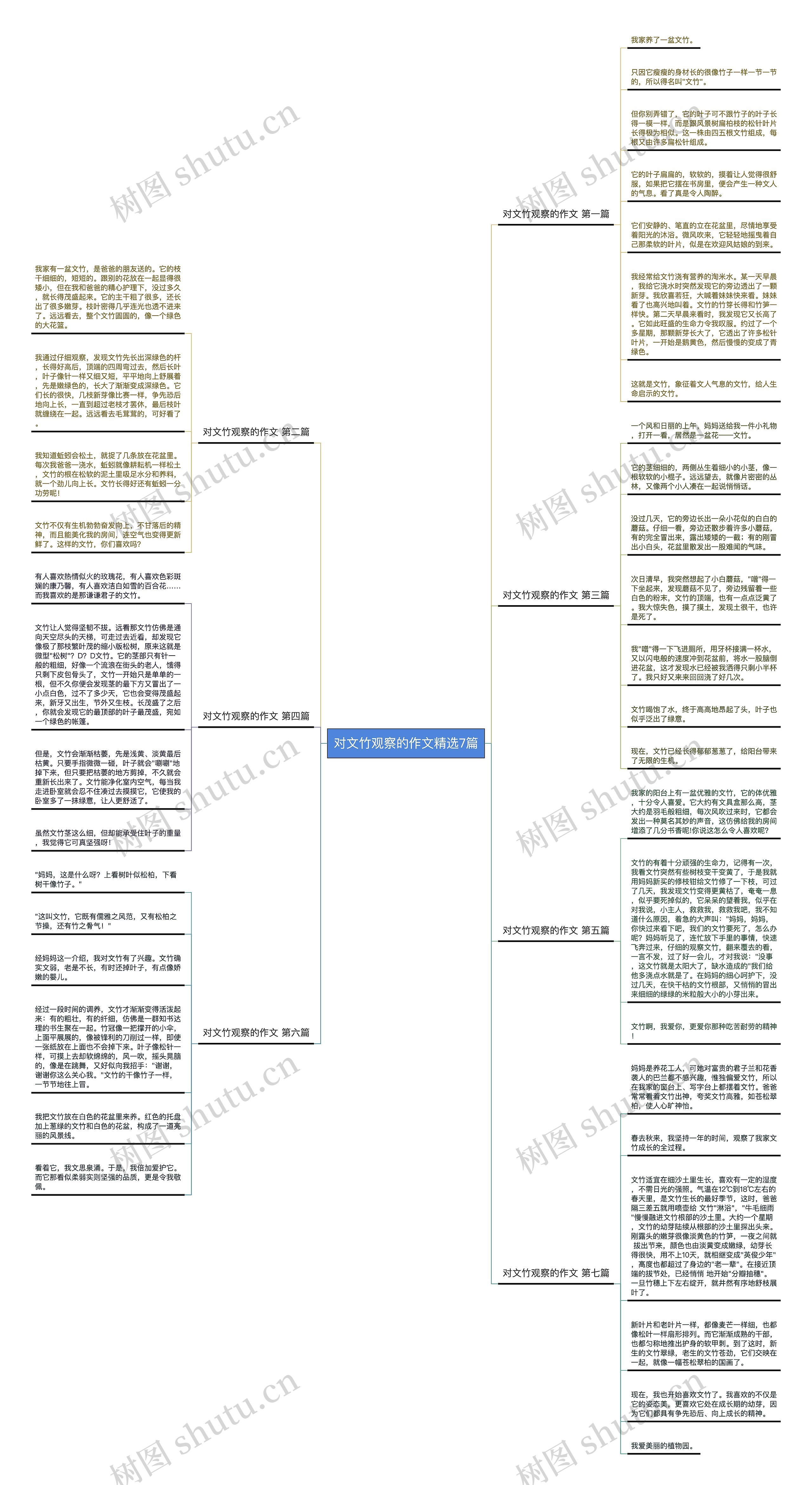 对文竹观察的作文精选7篇思维导图