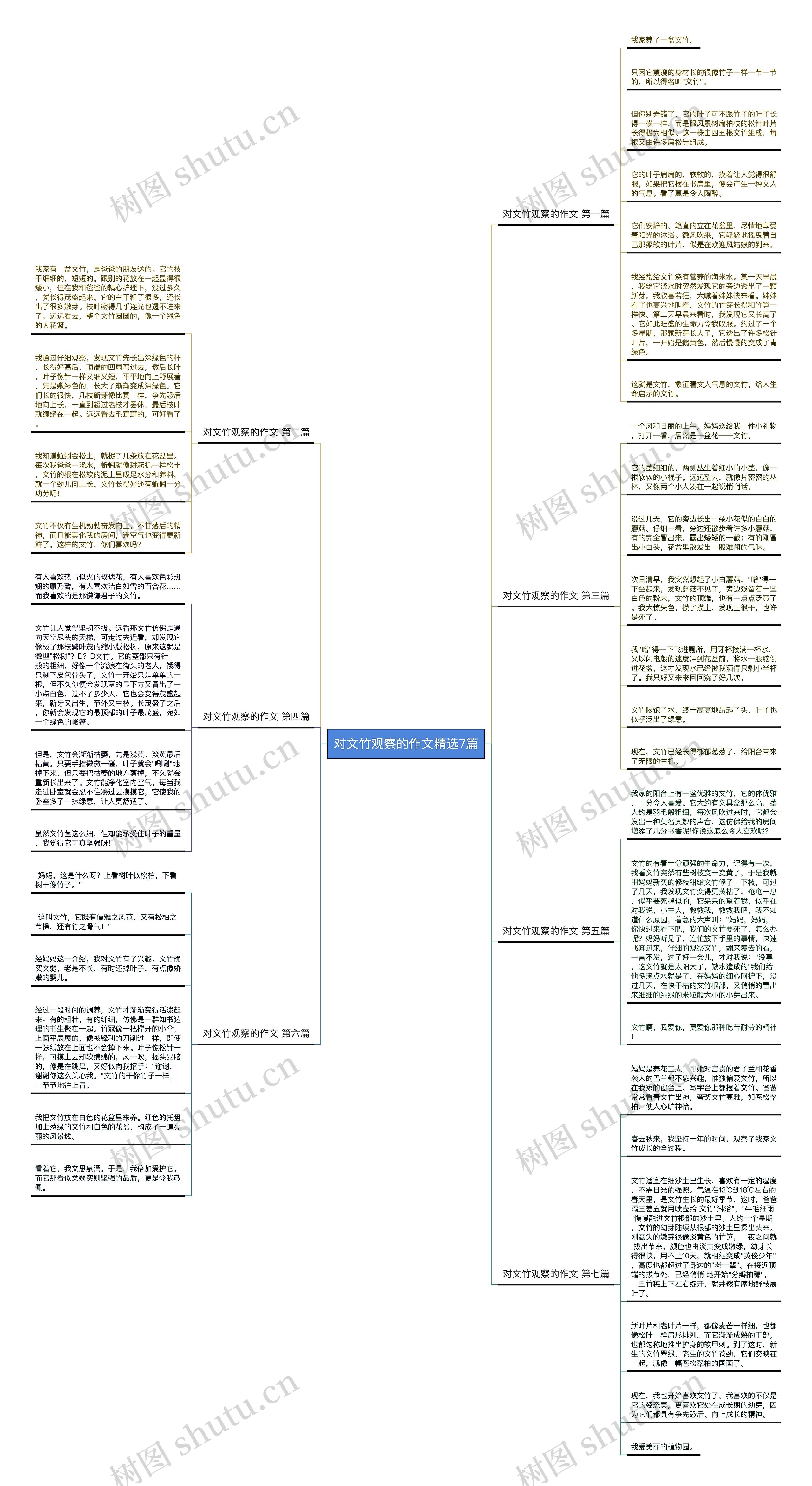 对文竹观察的作文精选7篇 对文竹观察的作文精选7篇