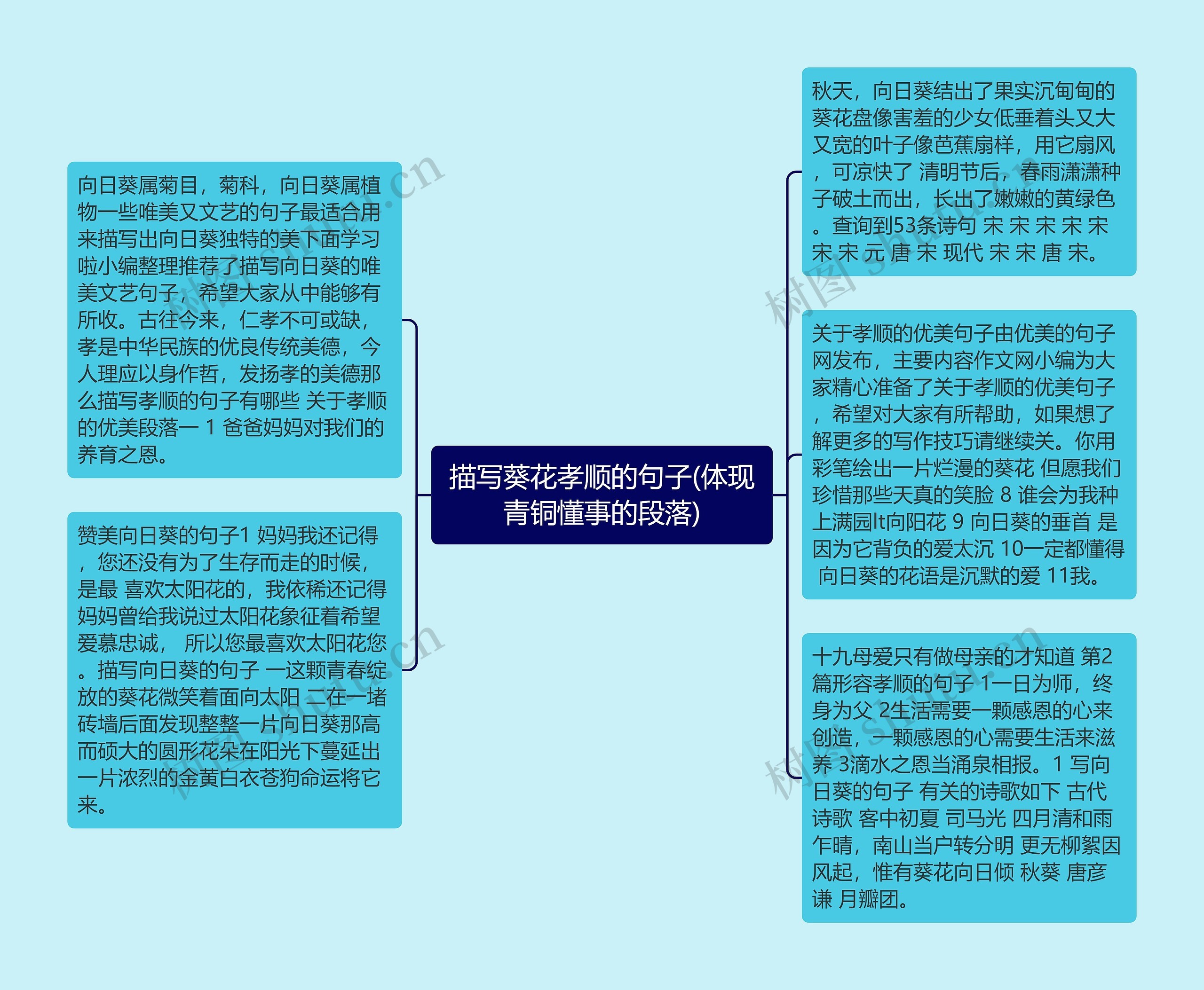 描写葵花孝顺的句子(体现青铜懂事的段落)