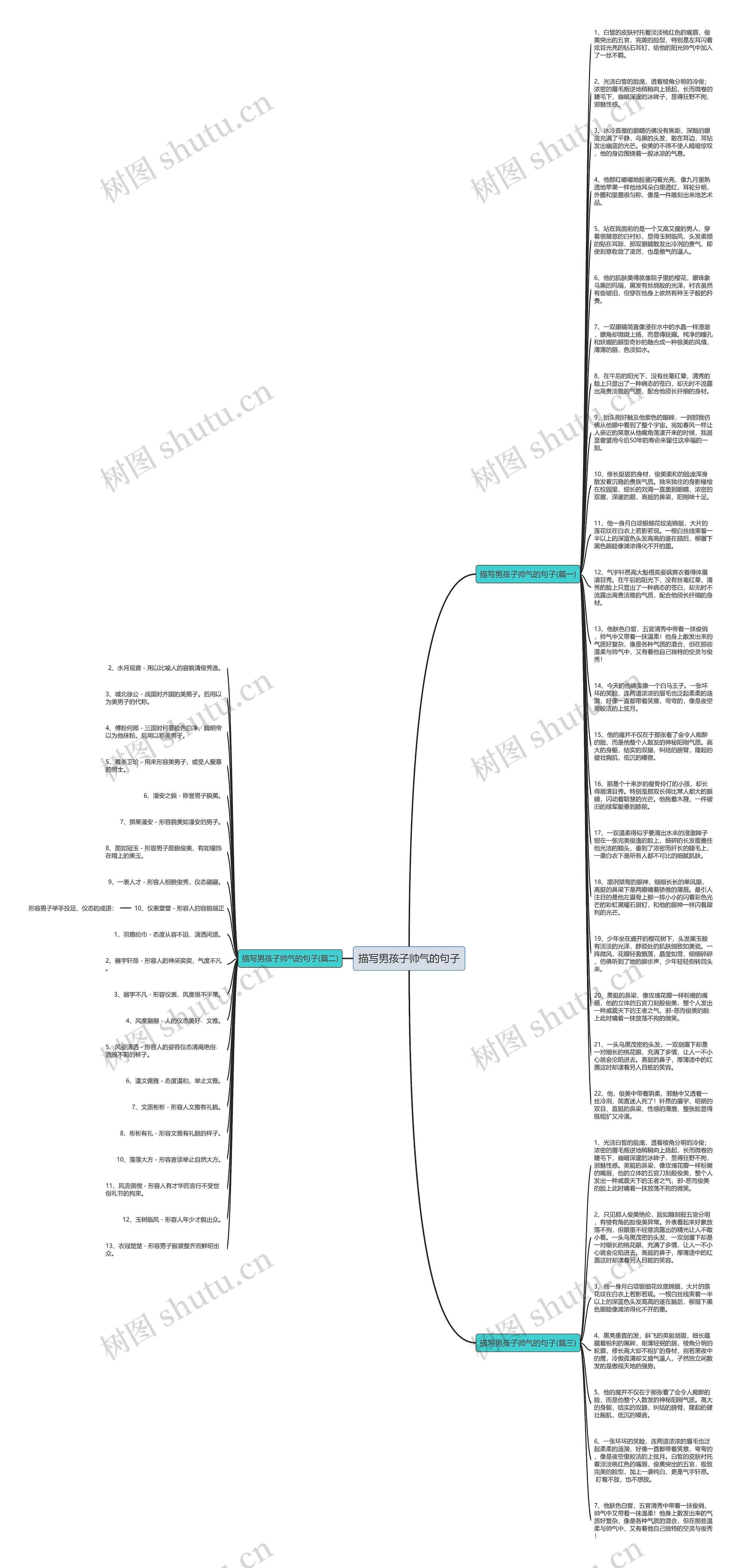 描写男孩子帅气的句子思维导图