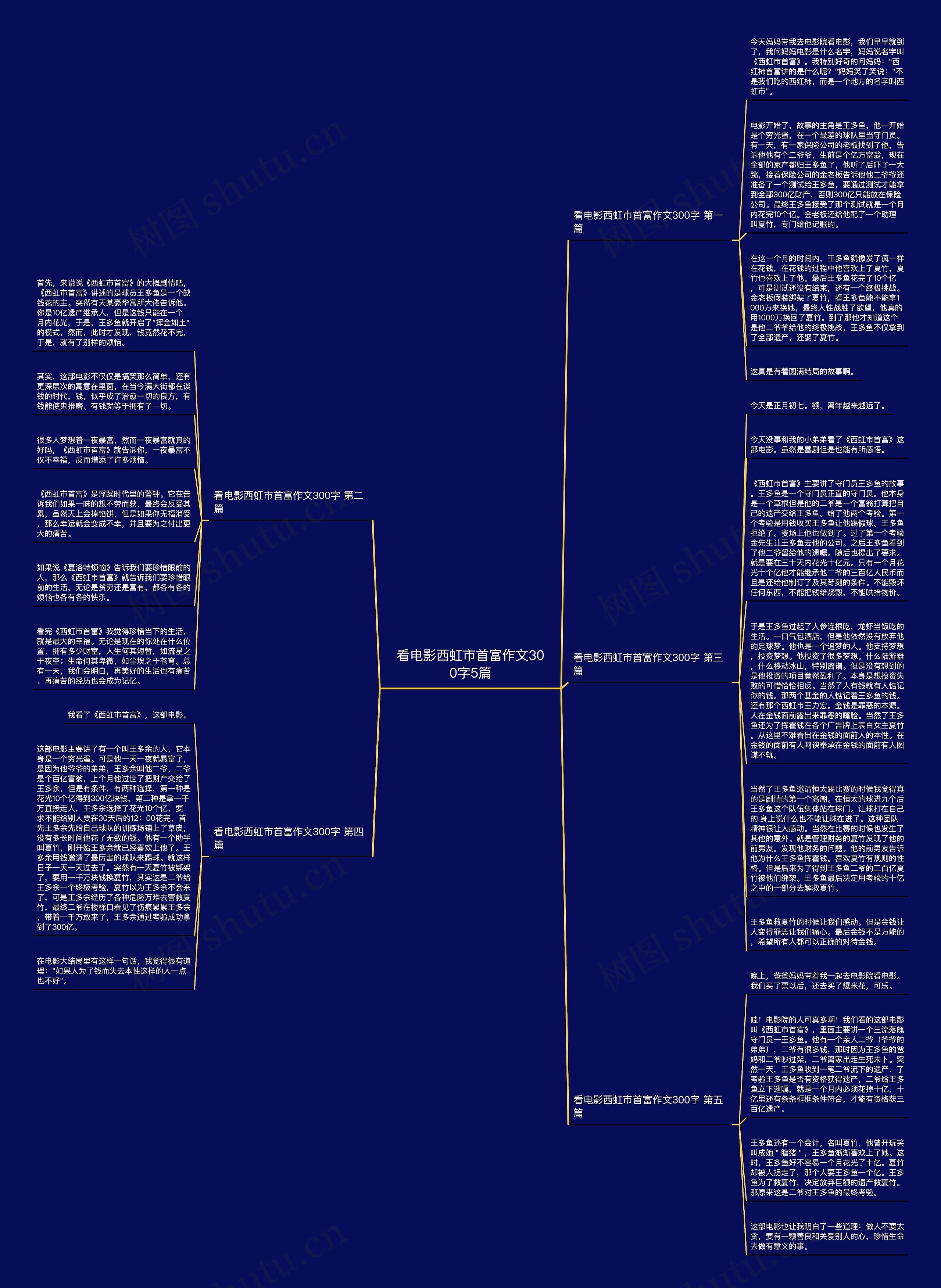 看电影西虹市首富作文300字5篇