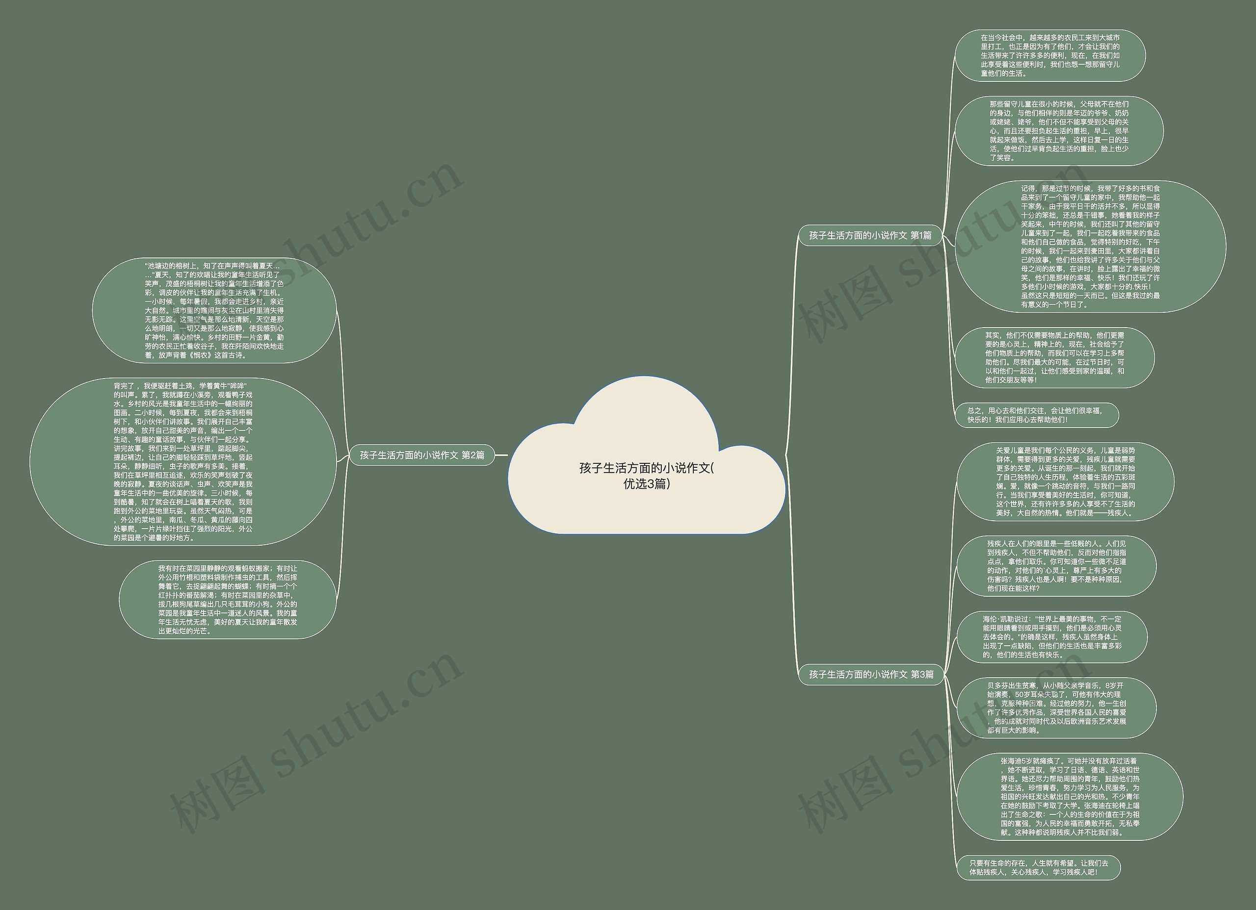 孩子生活方面的小说作文(优选3篇)思维导图