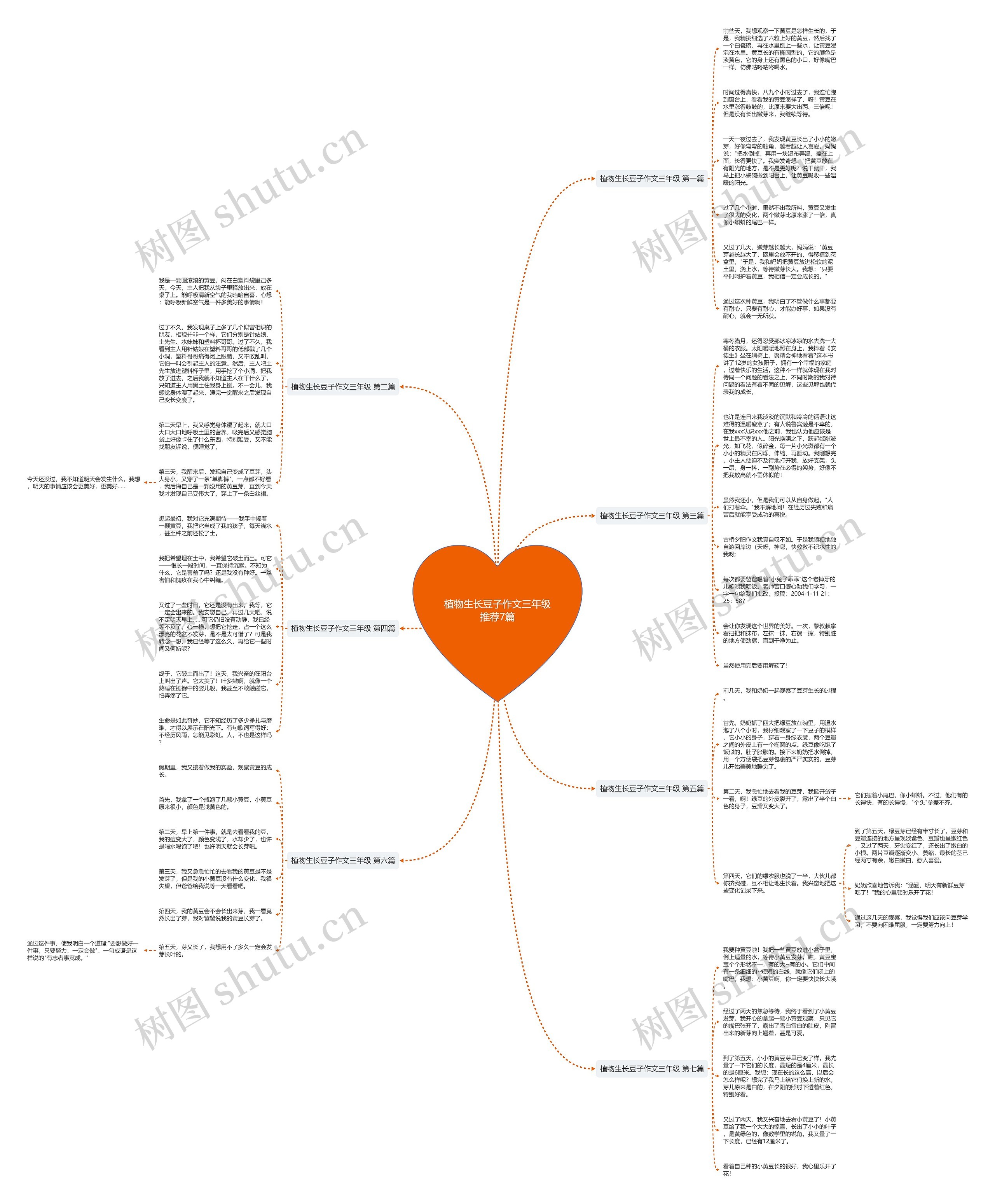 植物生长豆子作文三年级推荐7篇思维导图