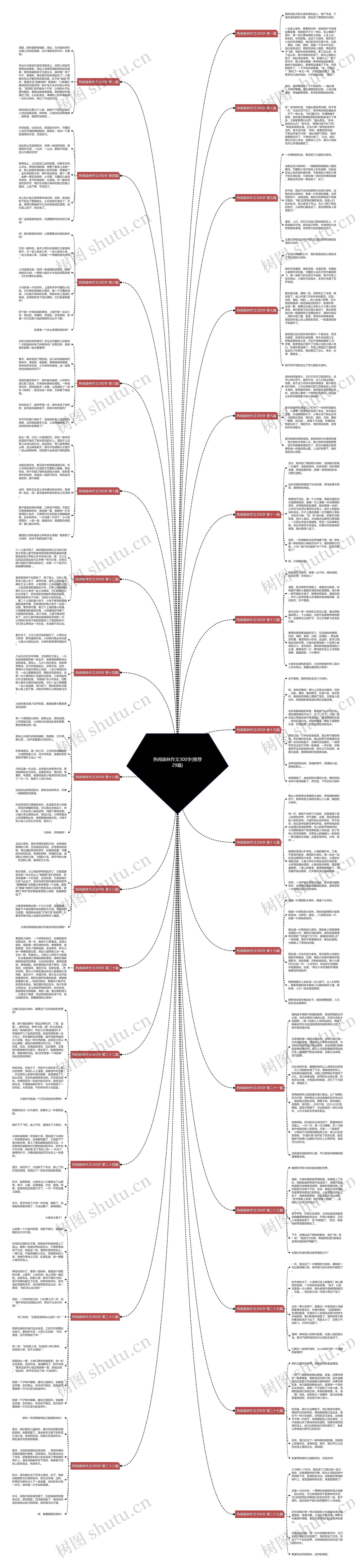 热闹森林作文300字(推荐29篇)思维导图