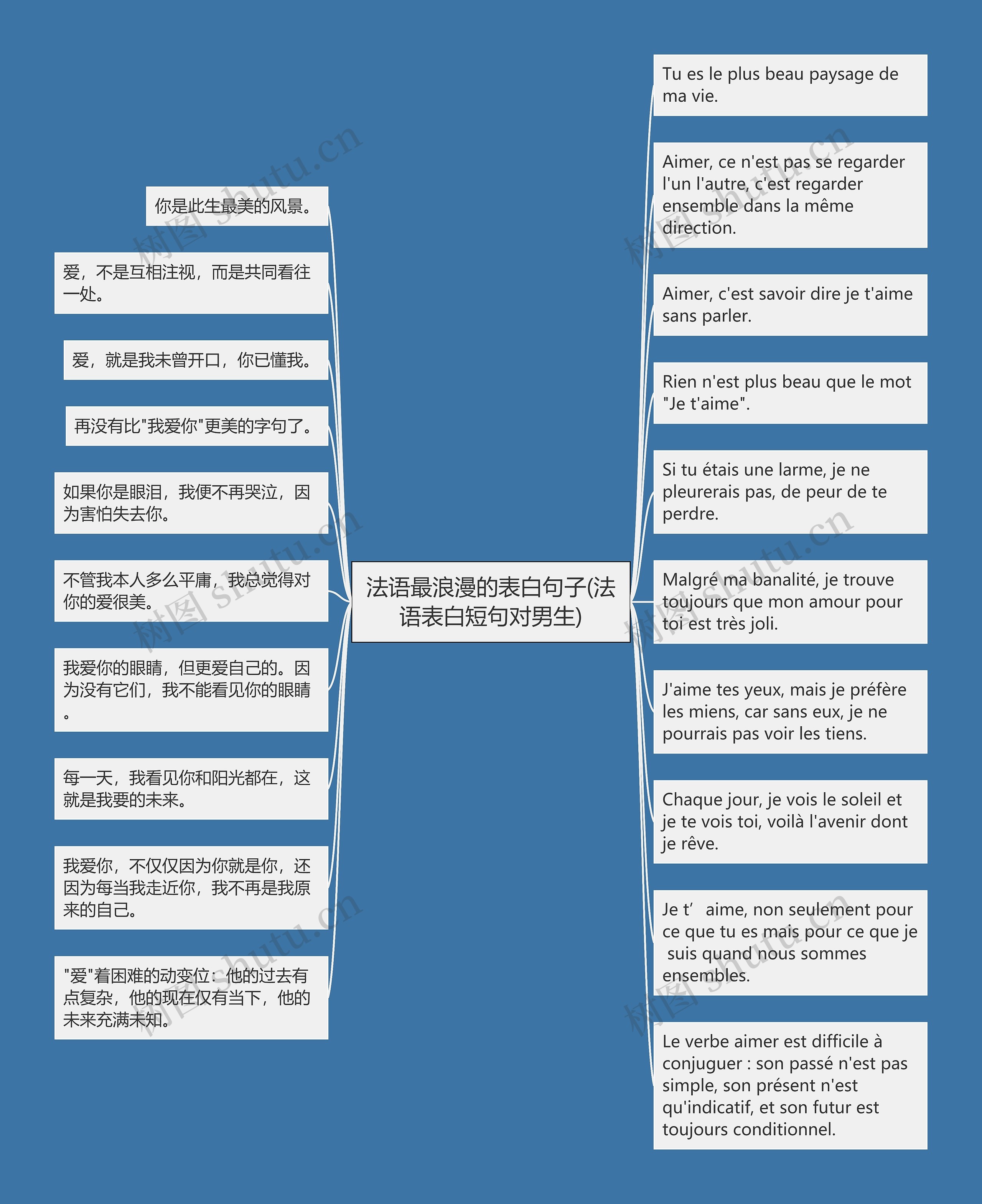 法语最浪漫的表白句子(法语表白短句对男生)
