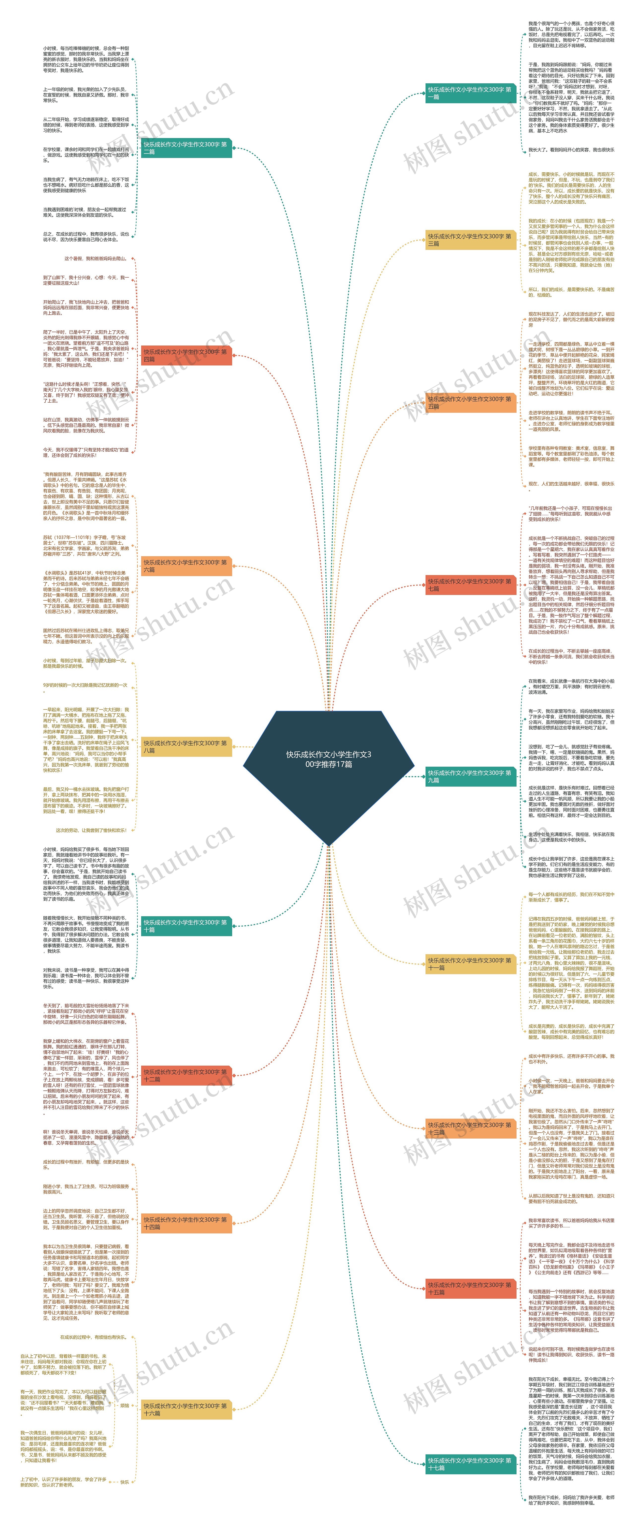 快乐成长作文小学生作文300字推荐17篇思维导图