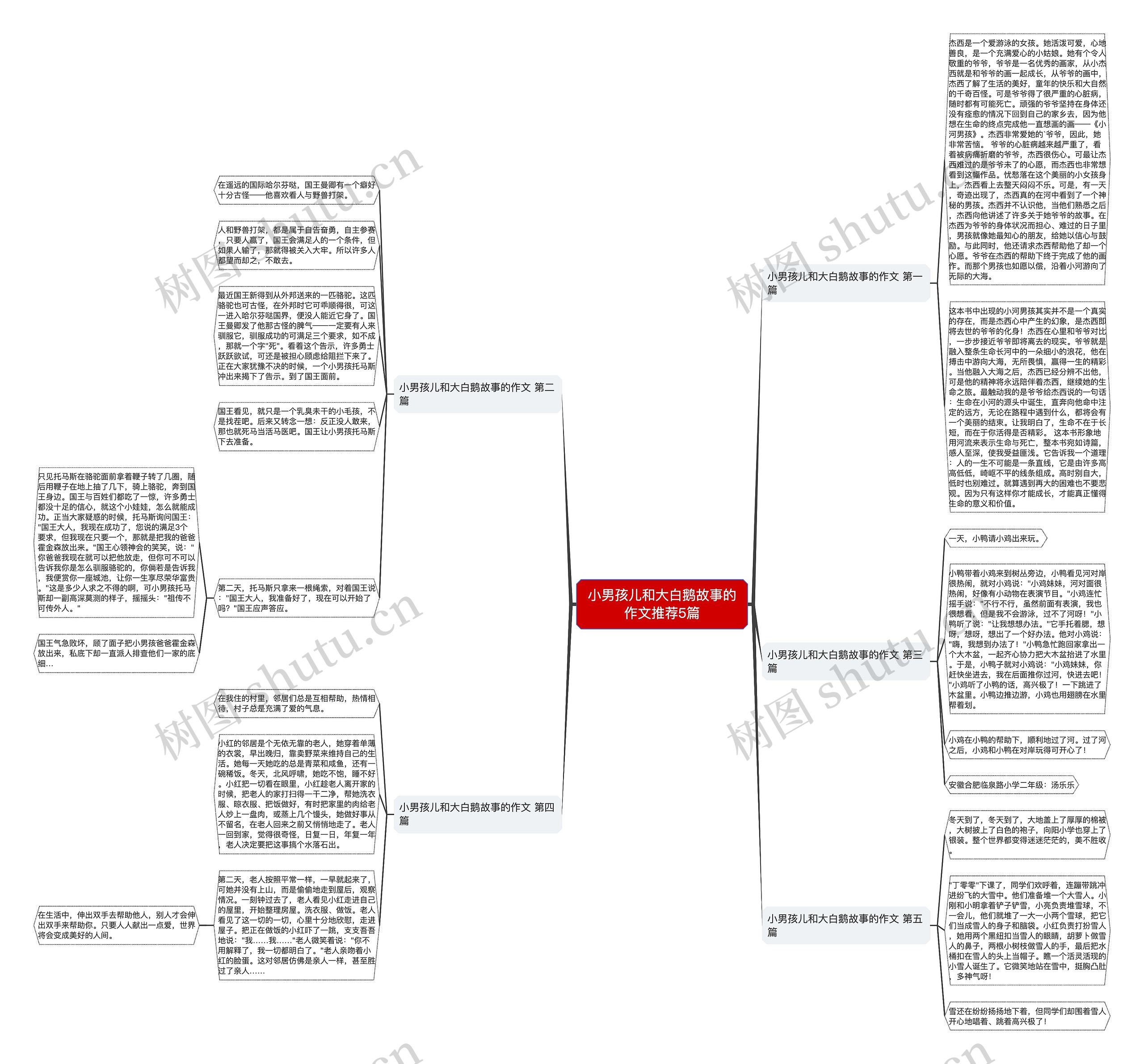 小男孩儿和大白鹅故事的作文推荐5篇思维导图