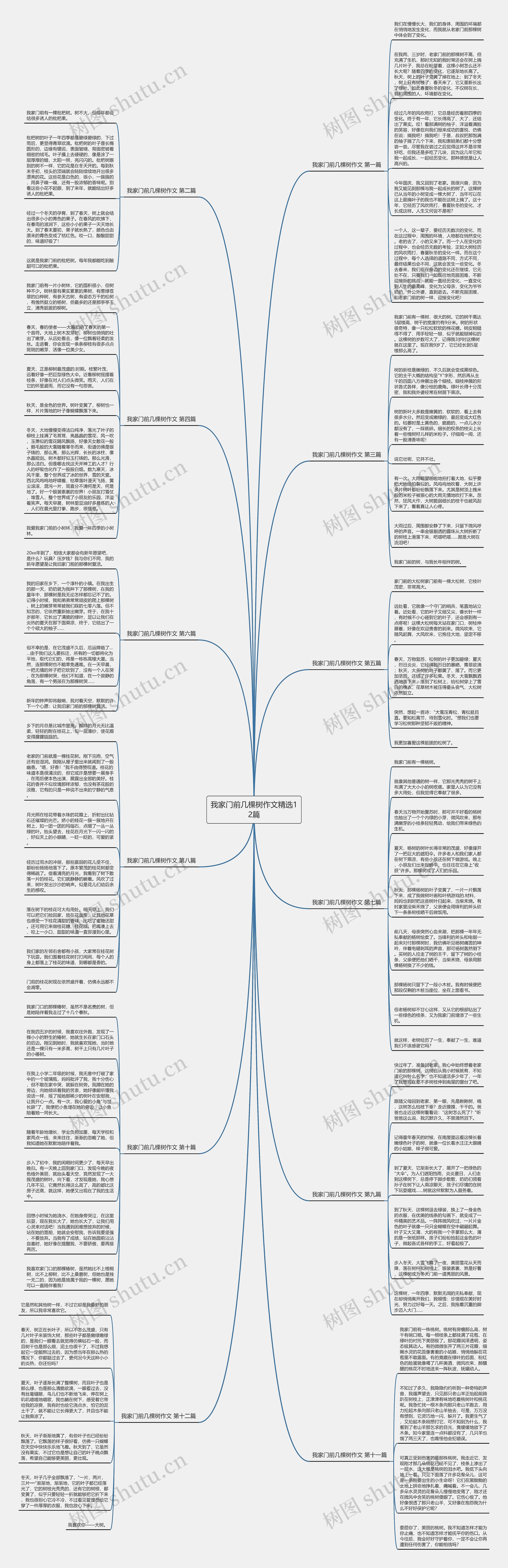 我家门前几棵树作文精选12篇思维导图