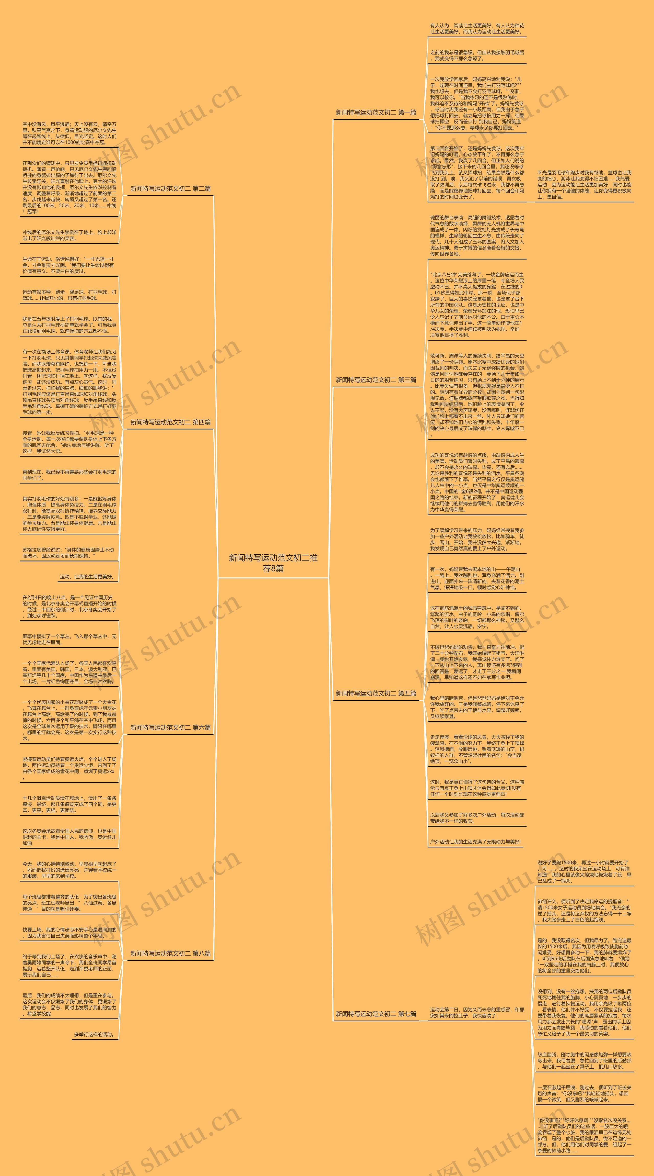 新闻特写运动范文初二推荐8篇 新闻特写运动范文初二推荐8篇