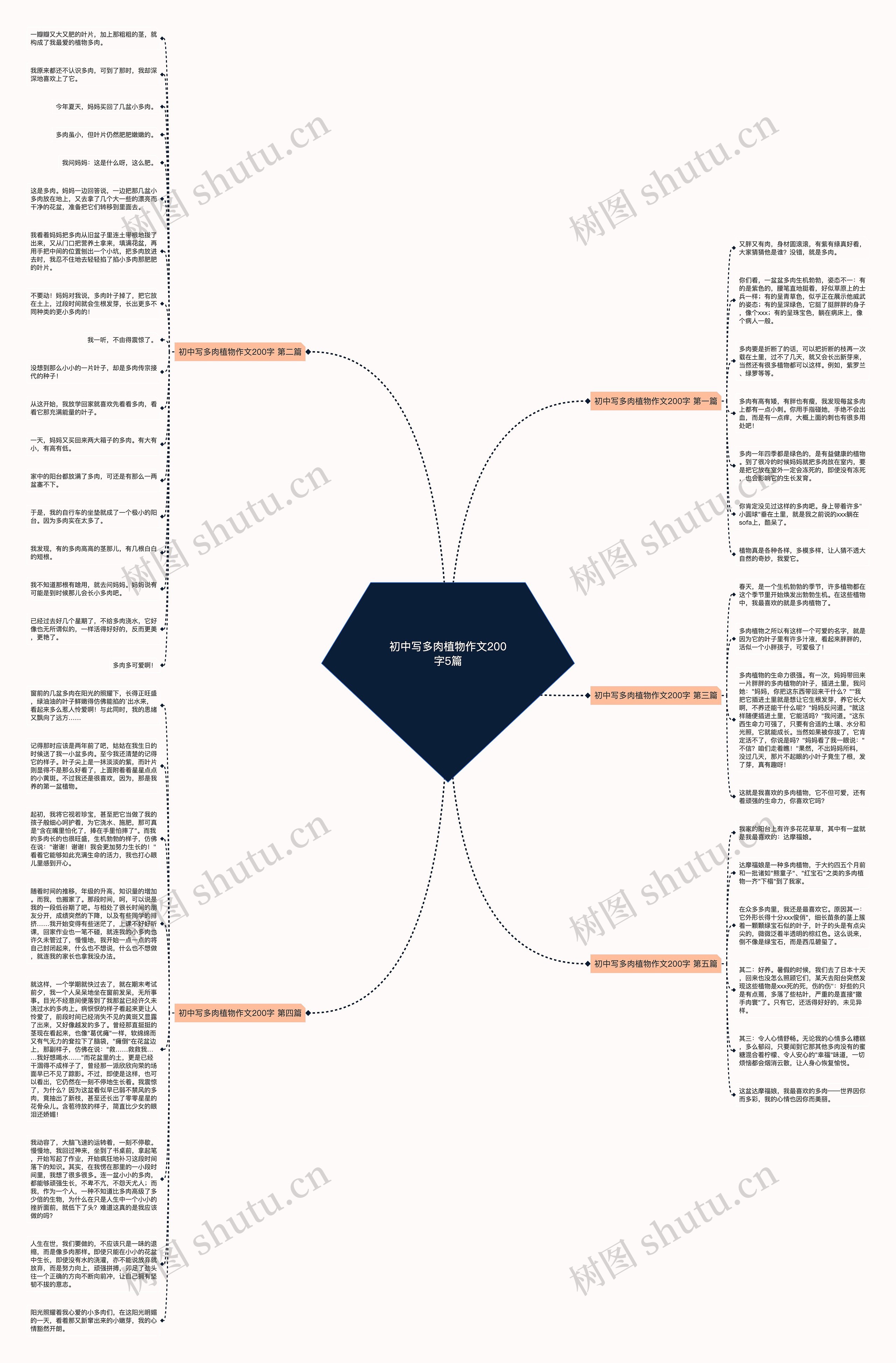 初中写多肉植物作文200字5篇思维导图