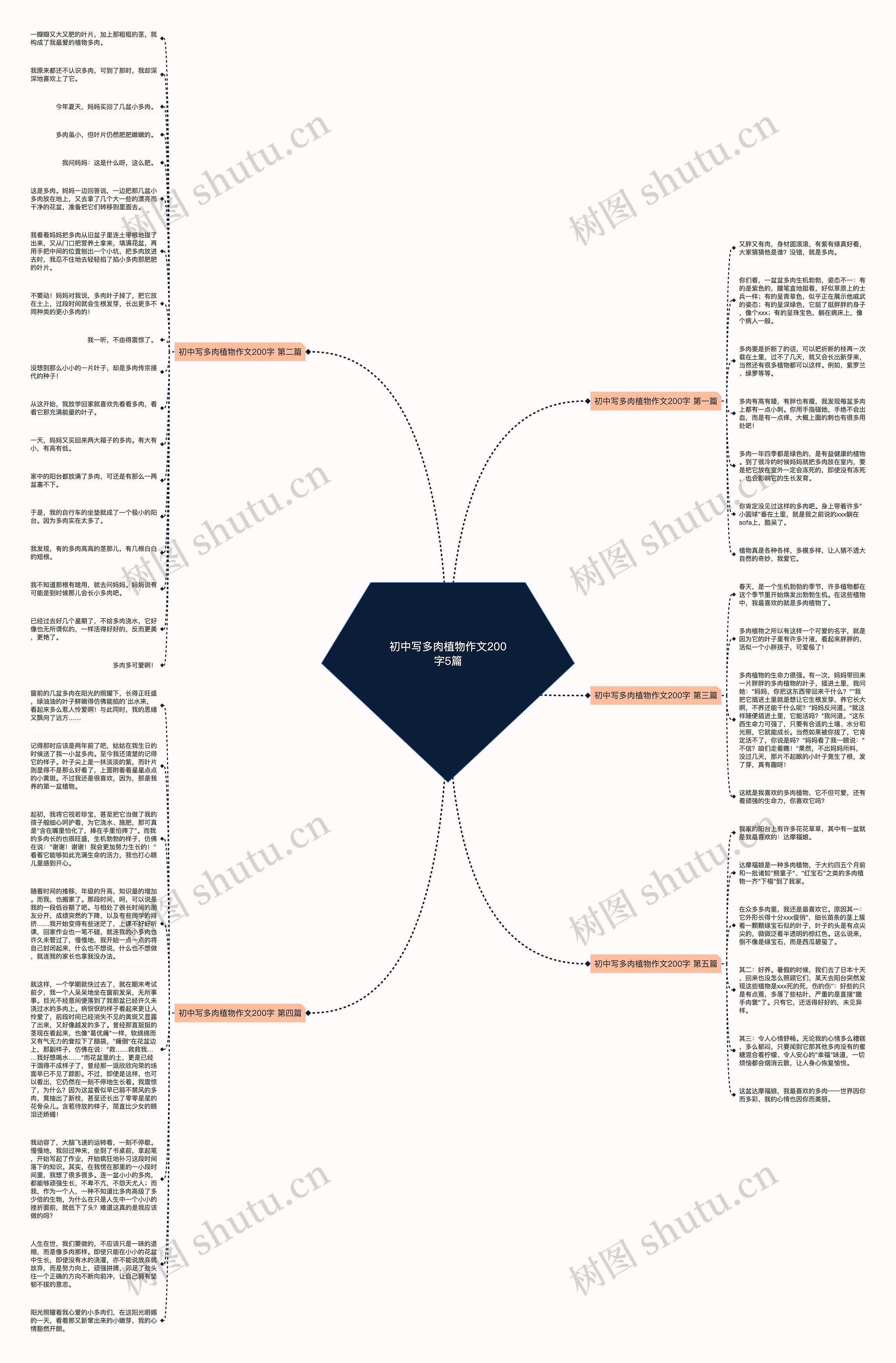 初中写多肉植物作文200字5篇 初中写多肉植物作文200字5篇