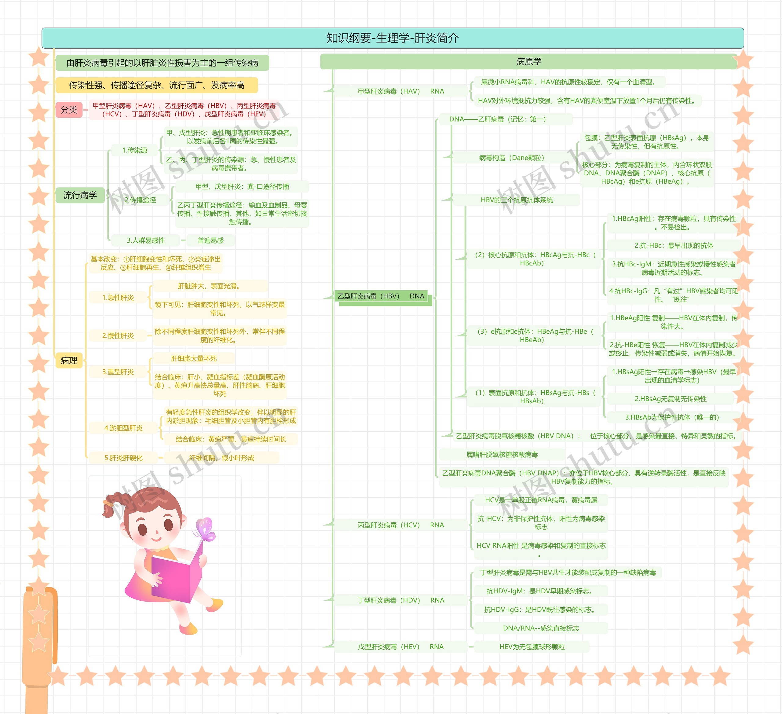 知识纲要-生理学-肝炎简介思维导图