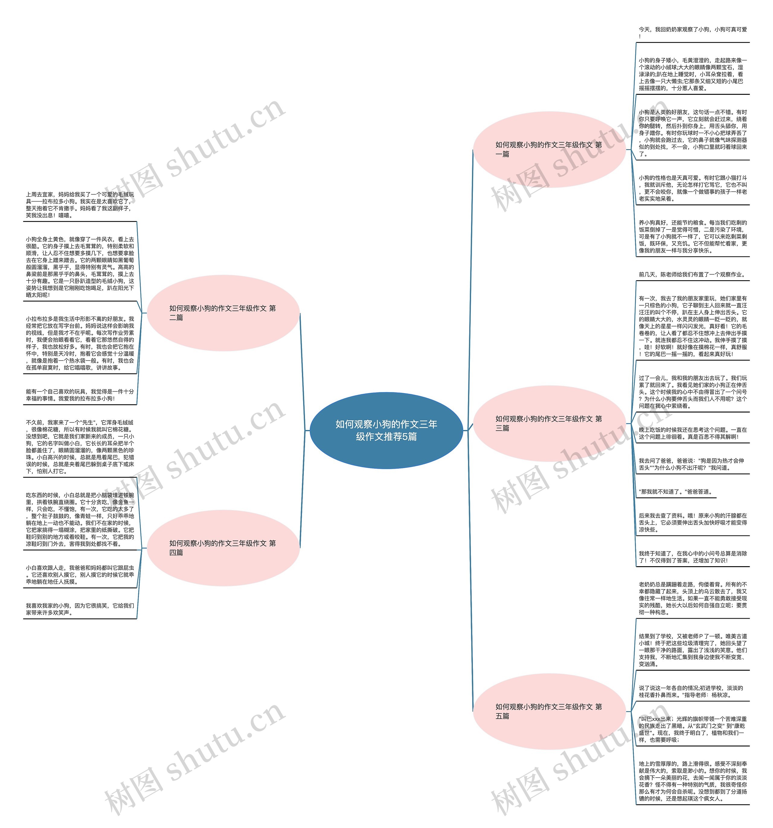 如何观察小狗的作文三年级作文推荐5篇思维导图