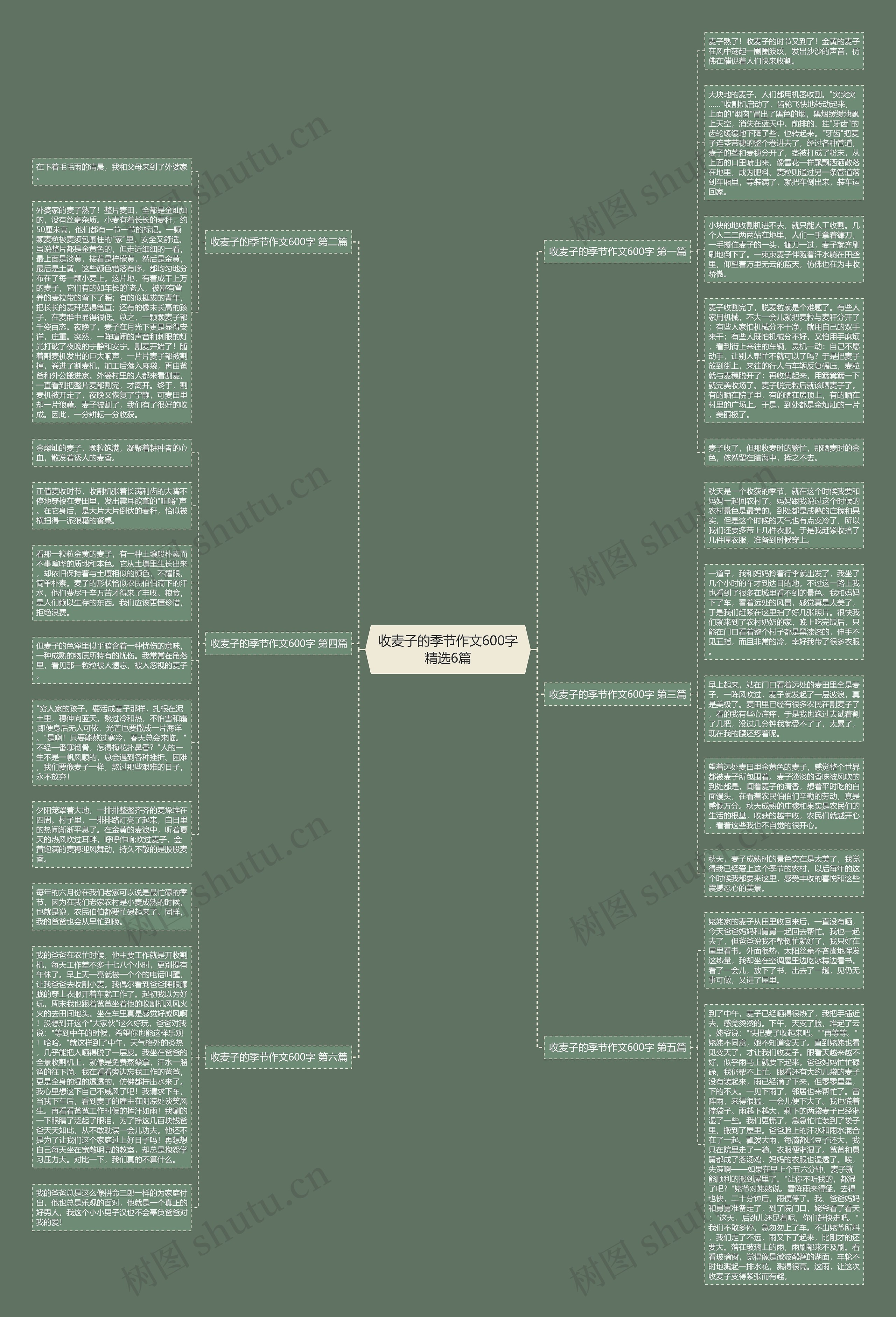 收麦子的季节作文600字精选6篇思维导图