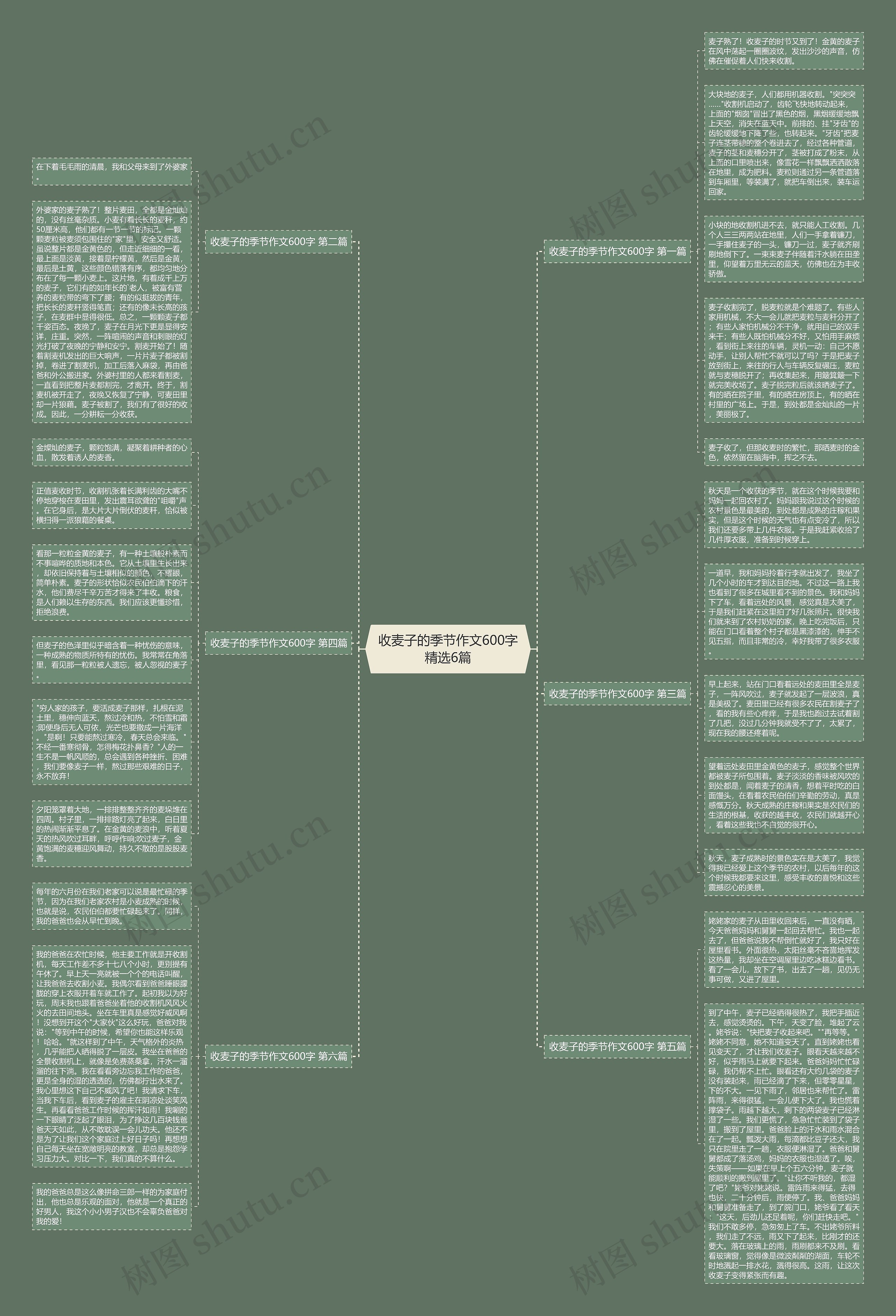 收麦子的季节作文600字精选6篇 收麦子的季节作文600字精选6篇