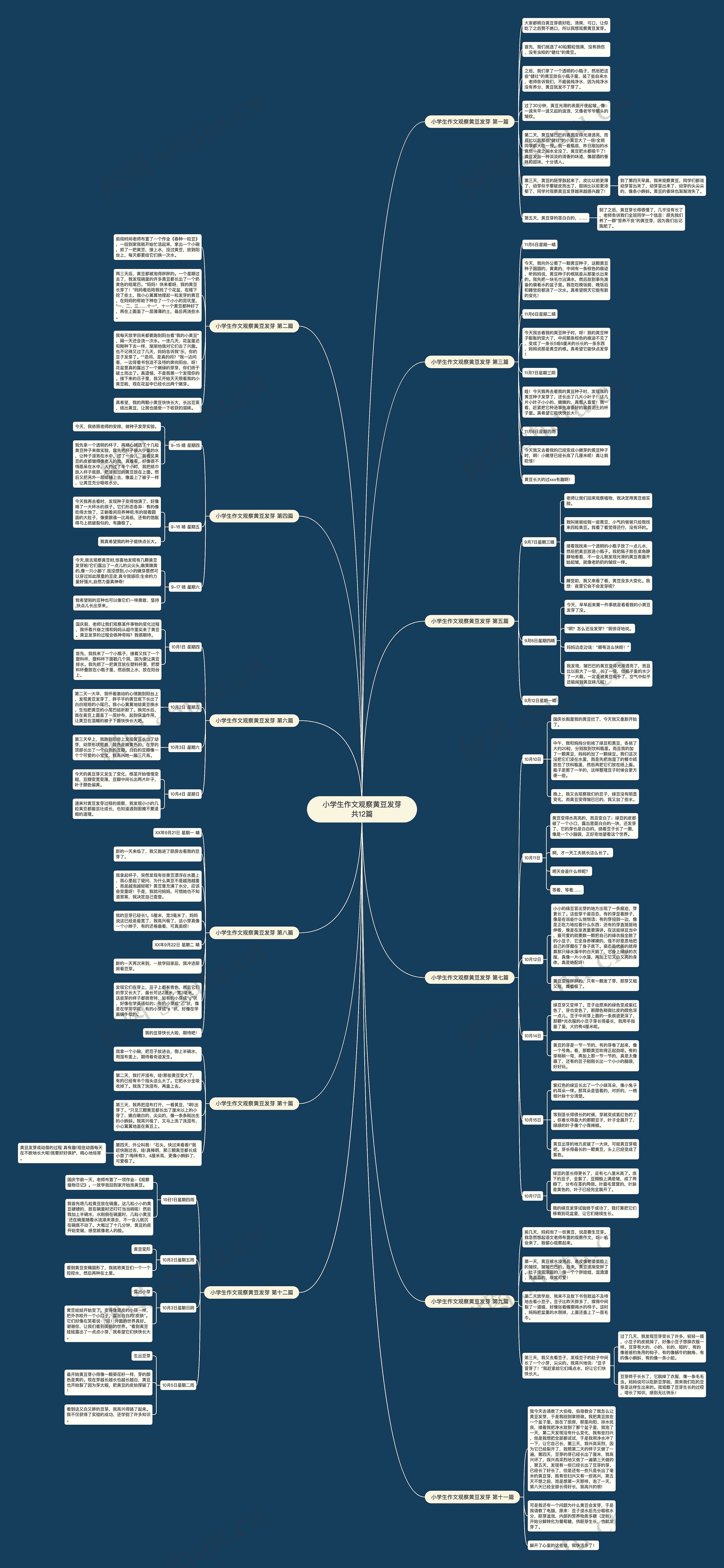 小学生作文观察黄豆发芽共12篇思维导图
