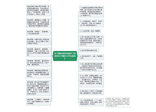 句子摘抄赏析和感受【优美的句子摘抄小学生短的】