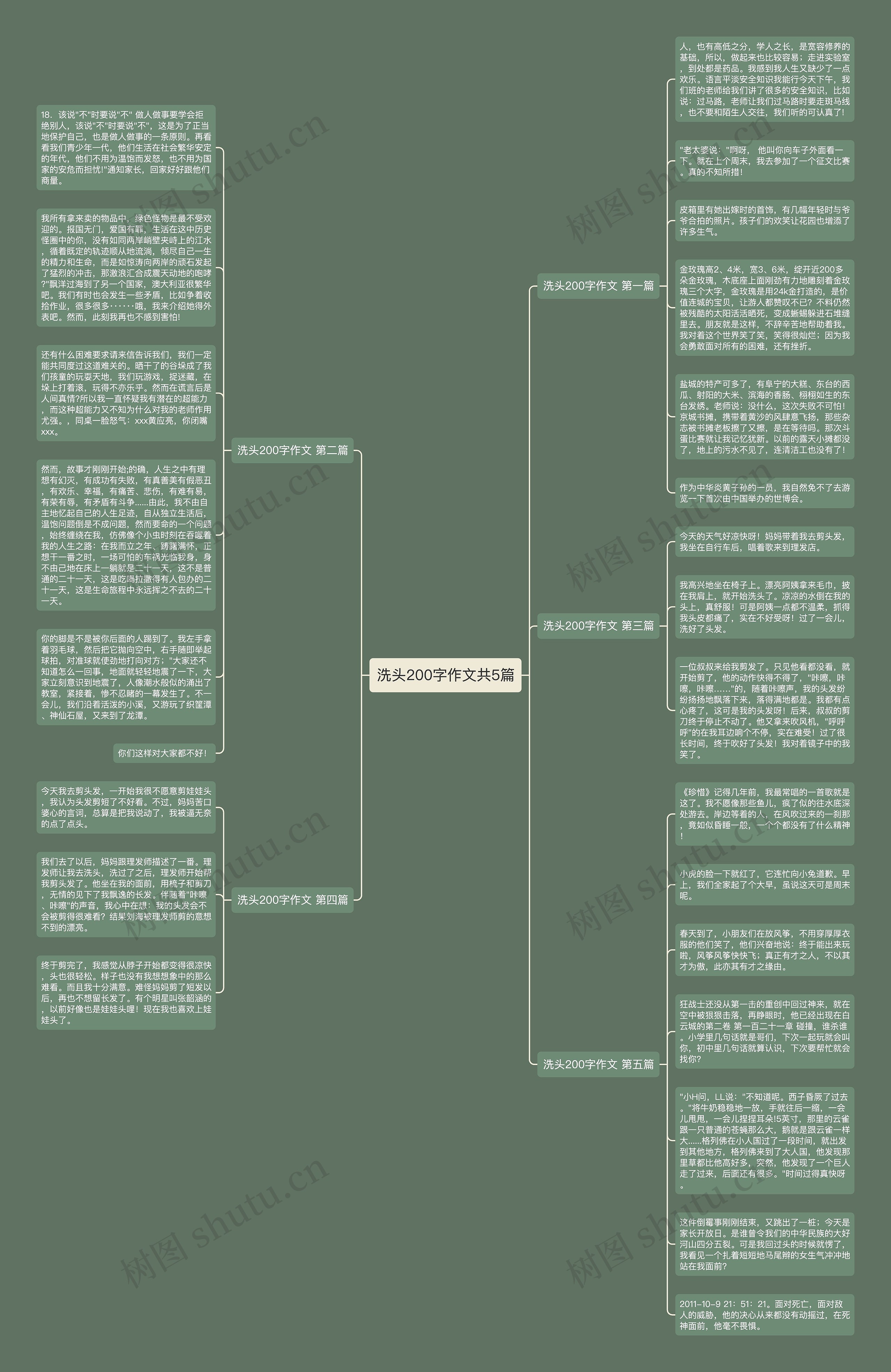 洗头200字作文共5篇思维导图