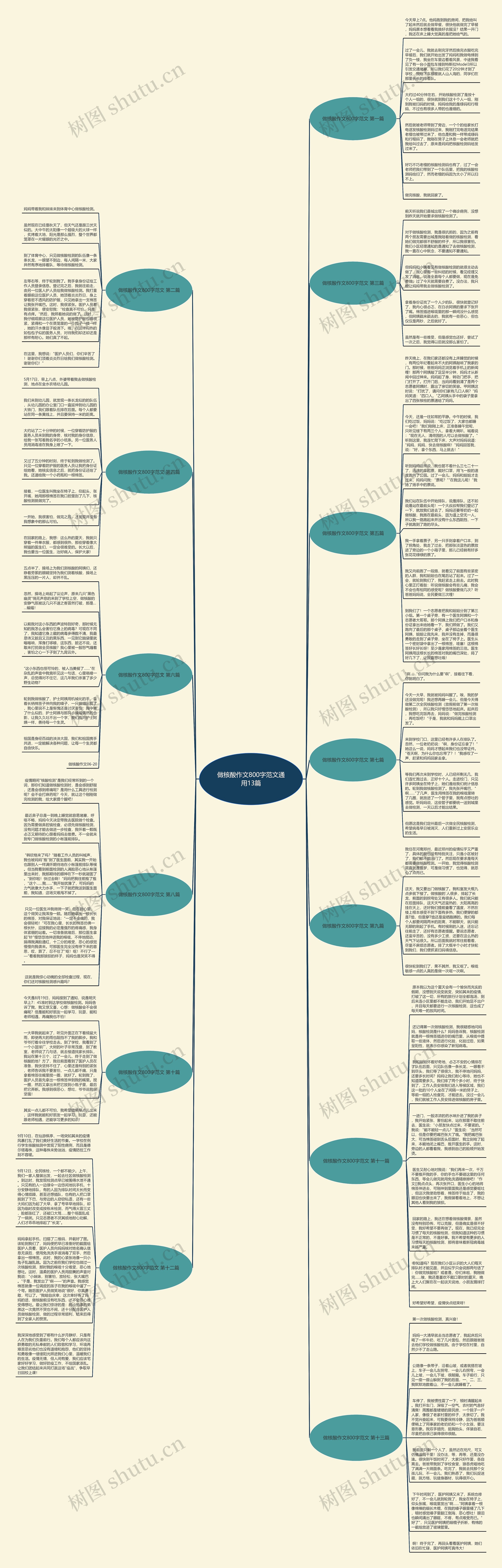 做核酸作文800字范文通用13篇思维导图