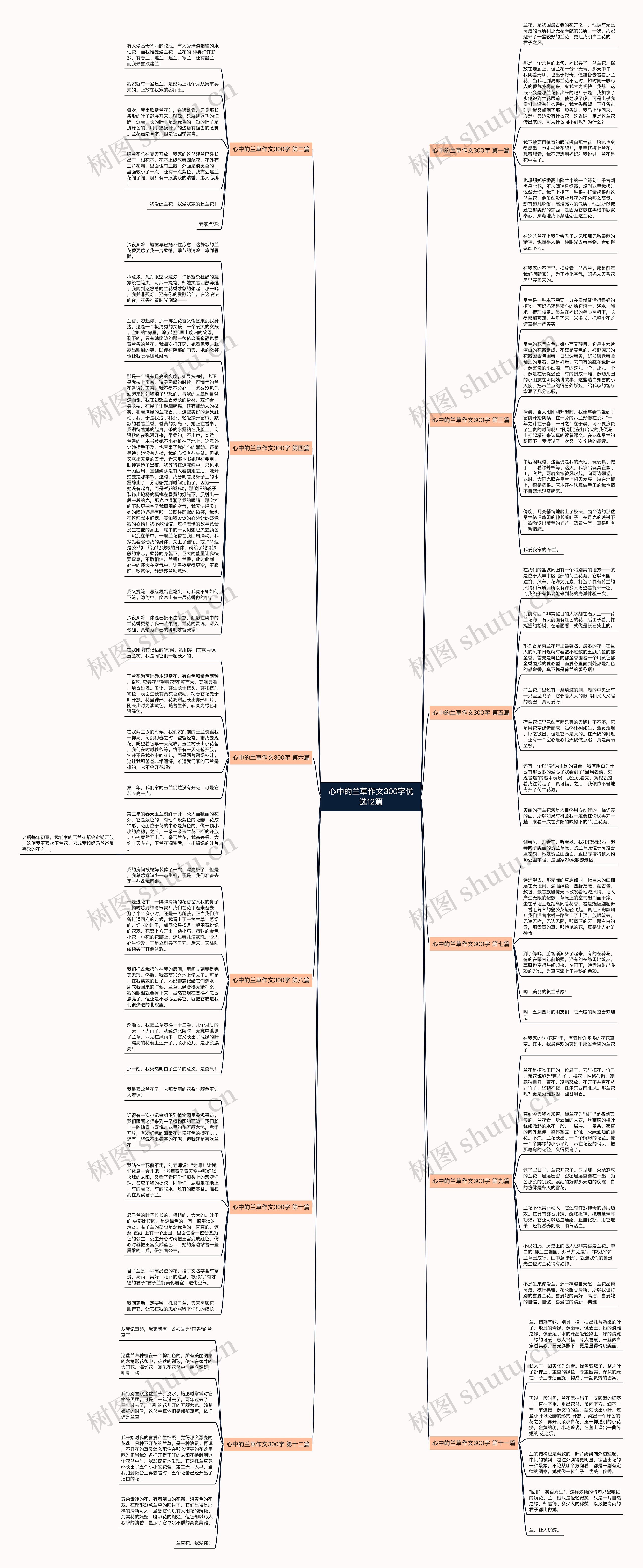 心中的兰草作文300字优选12篇思维导图