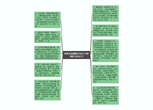 微商正能量图片和句子(微商努力的句子)