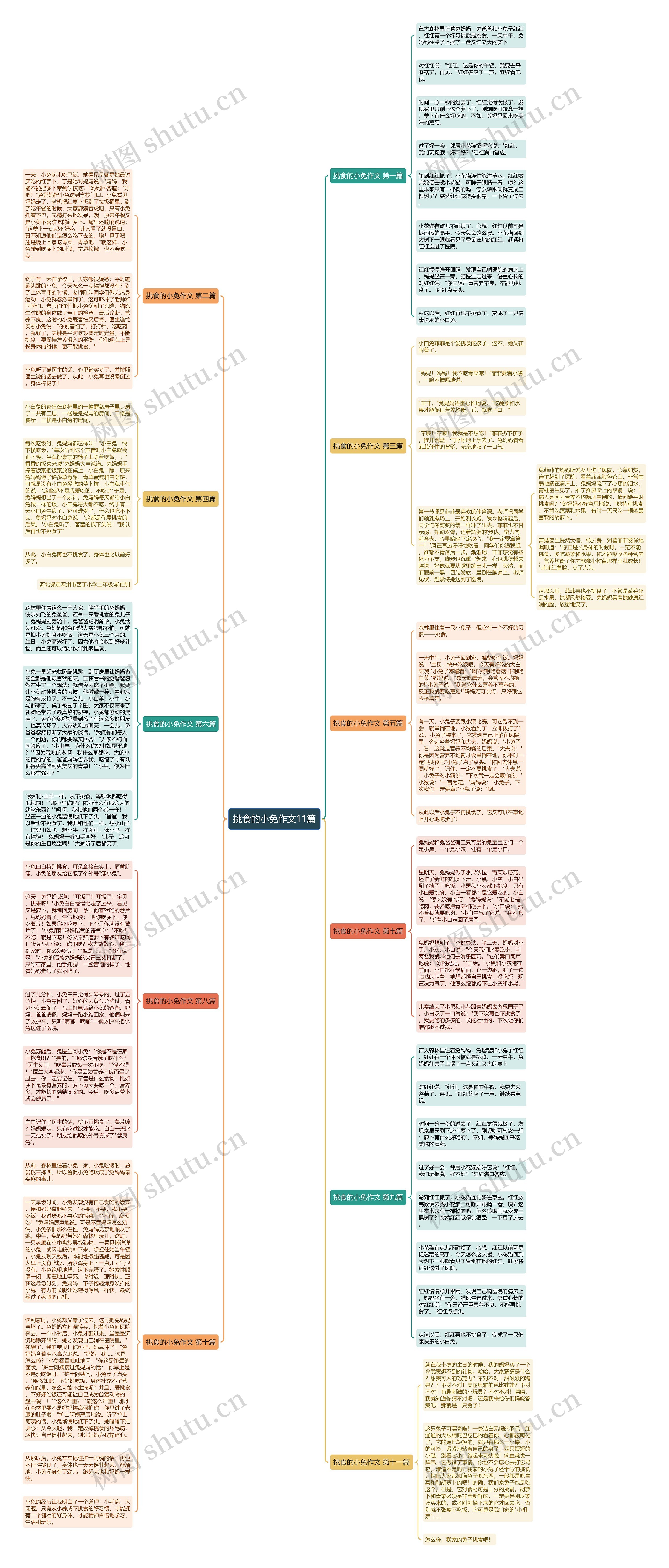 挑食的小免作文11篇思维导图