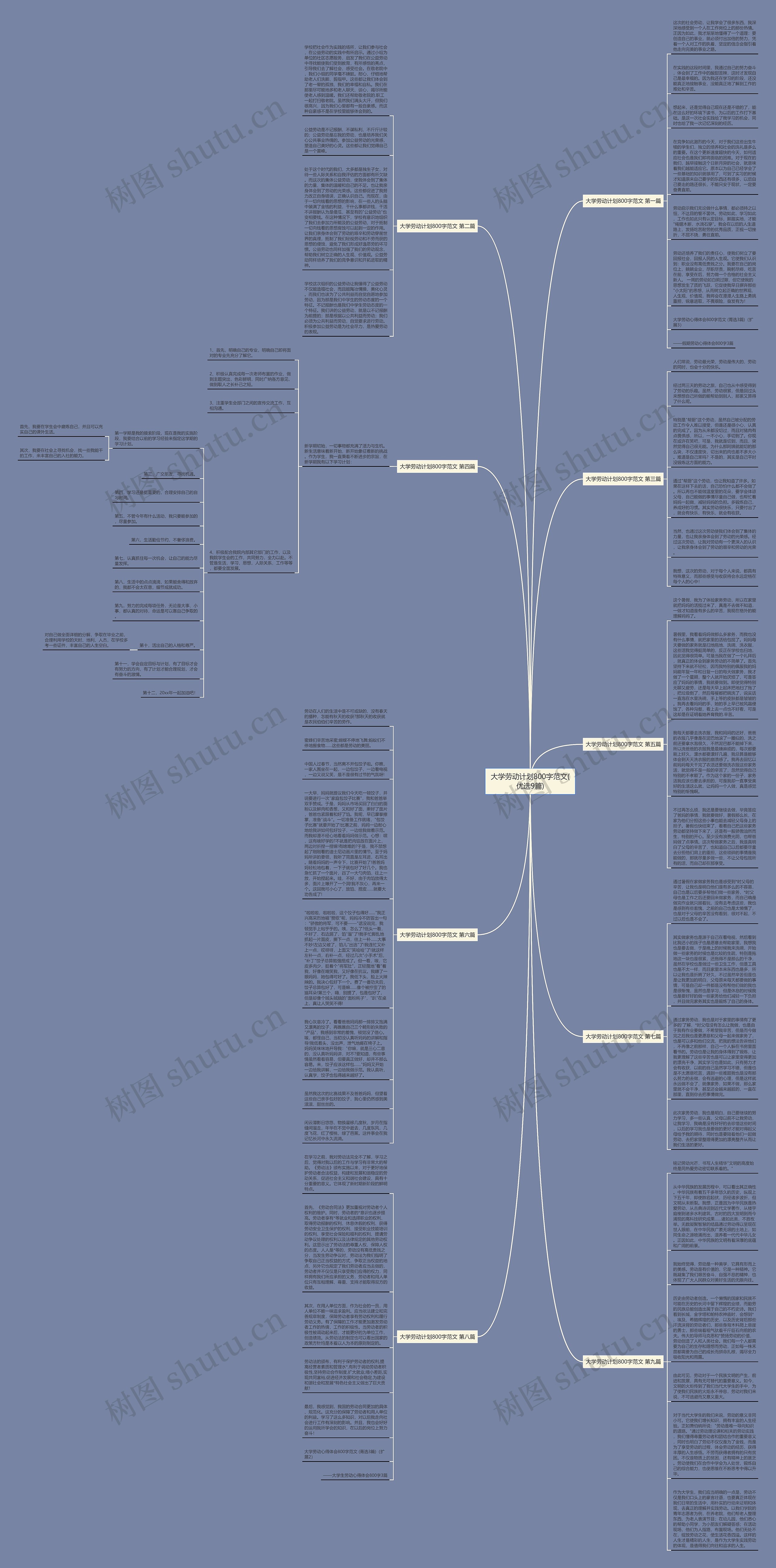 大学劳动计划800字范文(优选9篇)思维导图