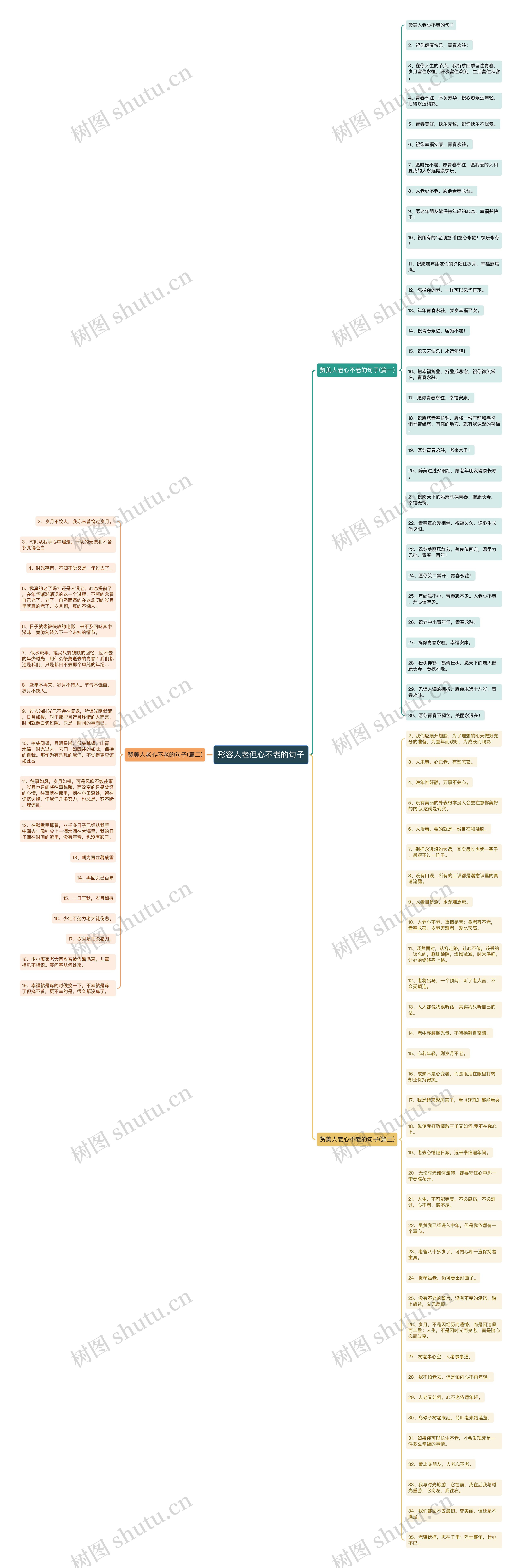 形容人老但心不老的句子思维导图