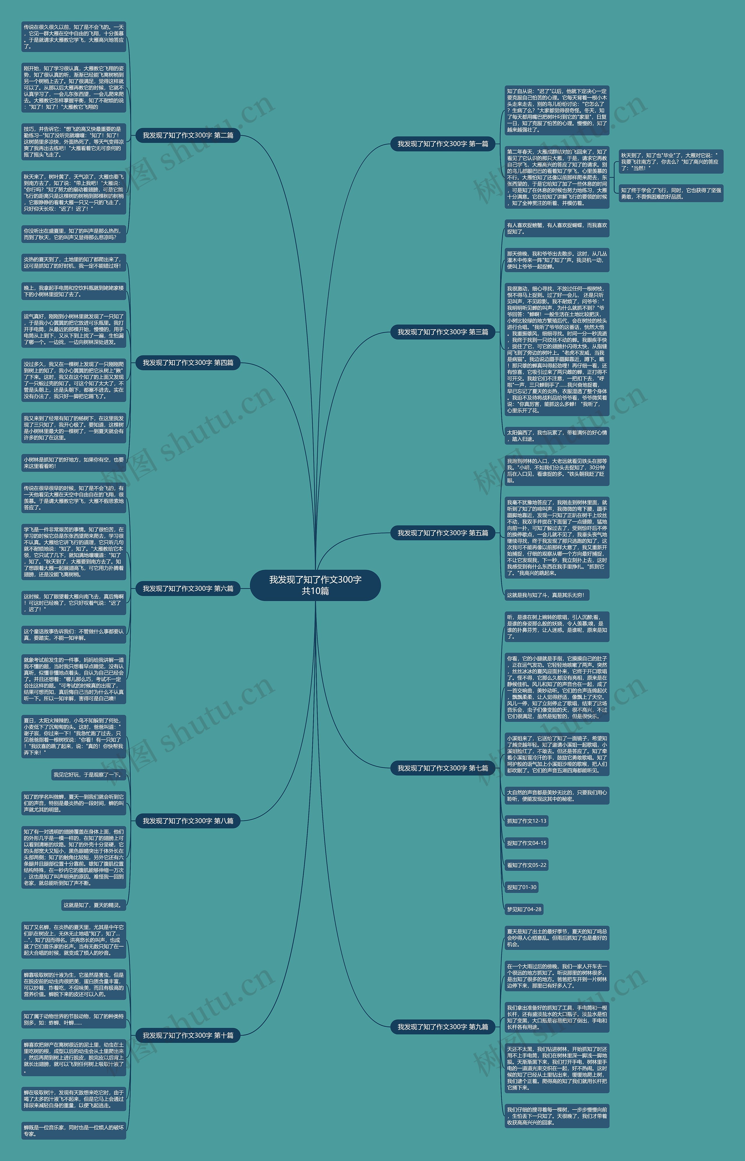 我发现了知了作文300字共10篇思维导图