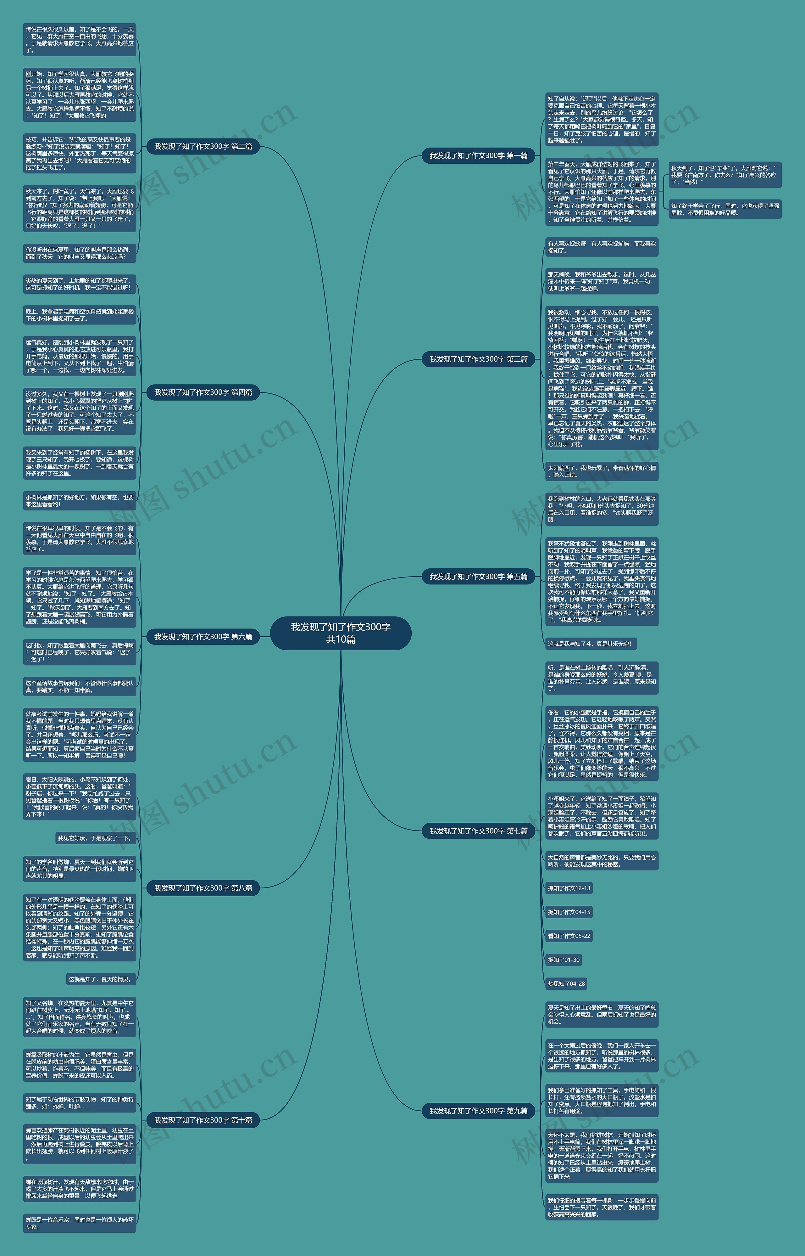 我发现了知了作文300字共10篇 我发现了知了作文300字共10篇
