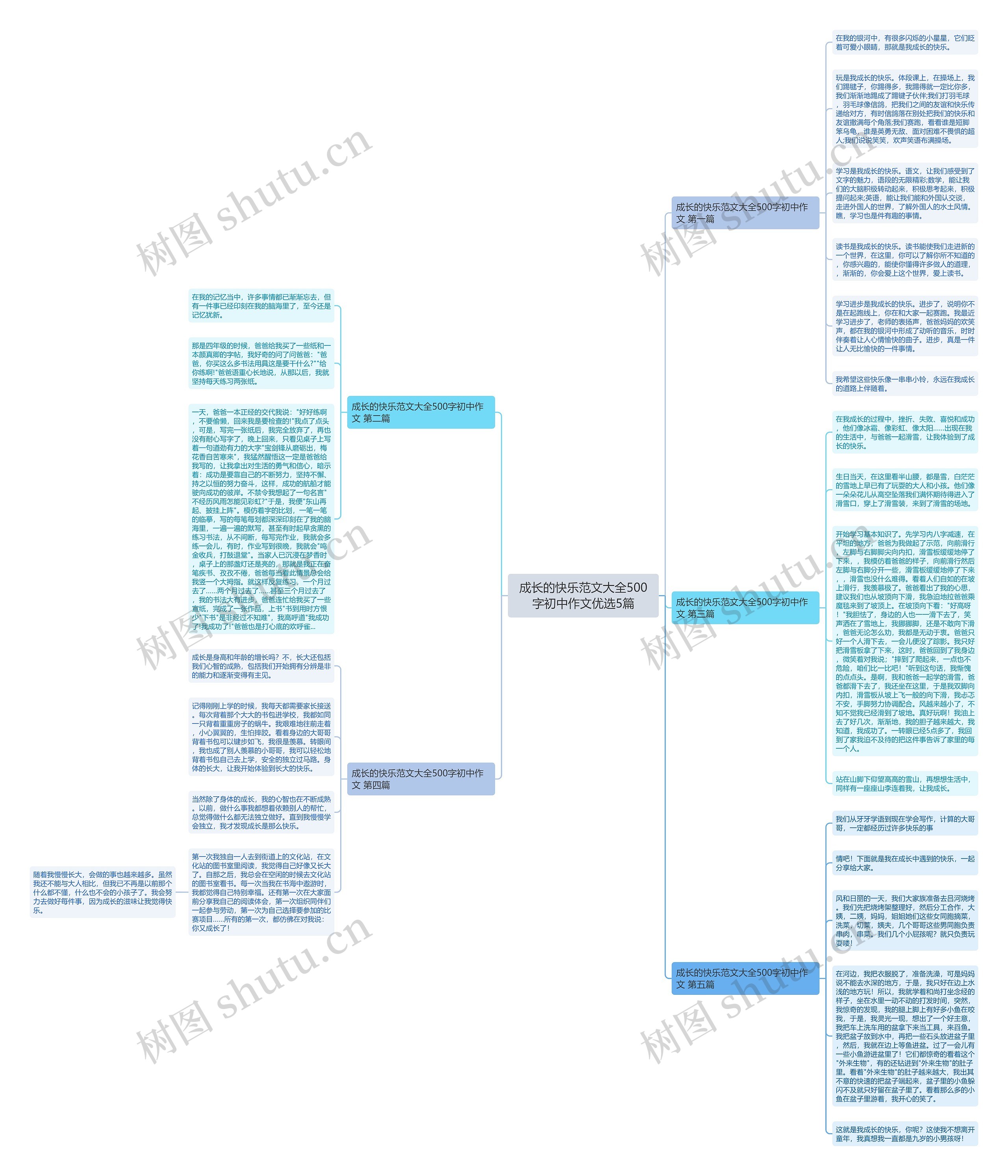 成长的快乐范文大全500字初中作文优选5篇思维导图