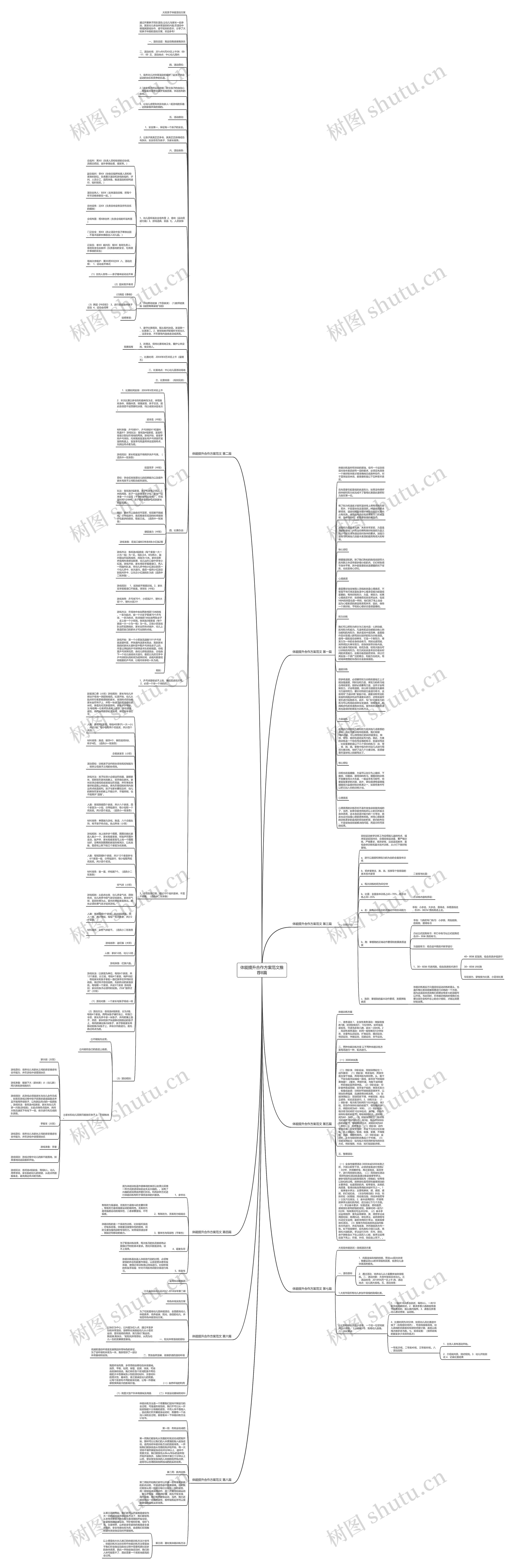 体能提升合作方案范文推荐8篇思维导图