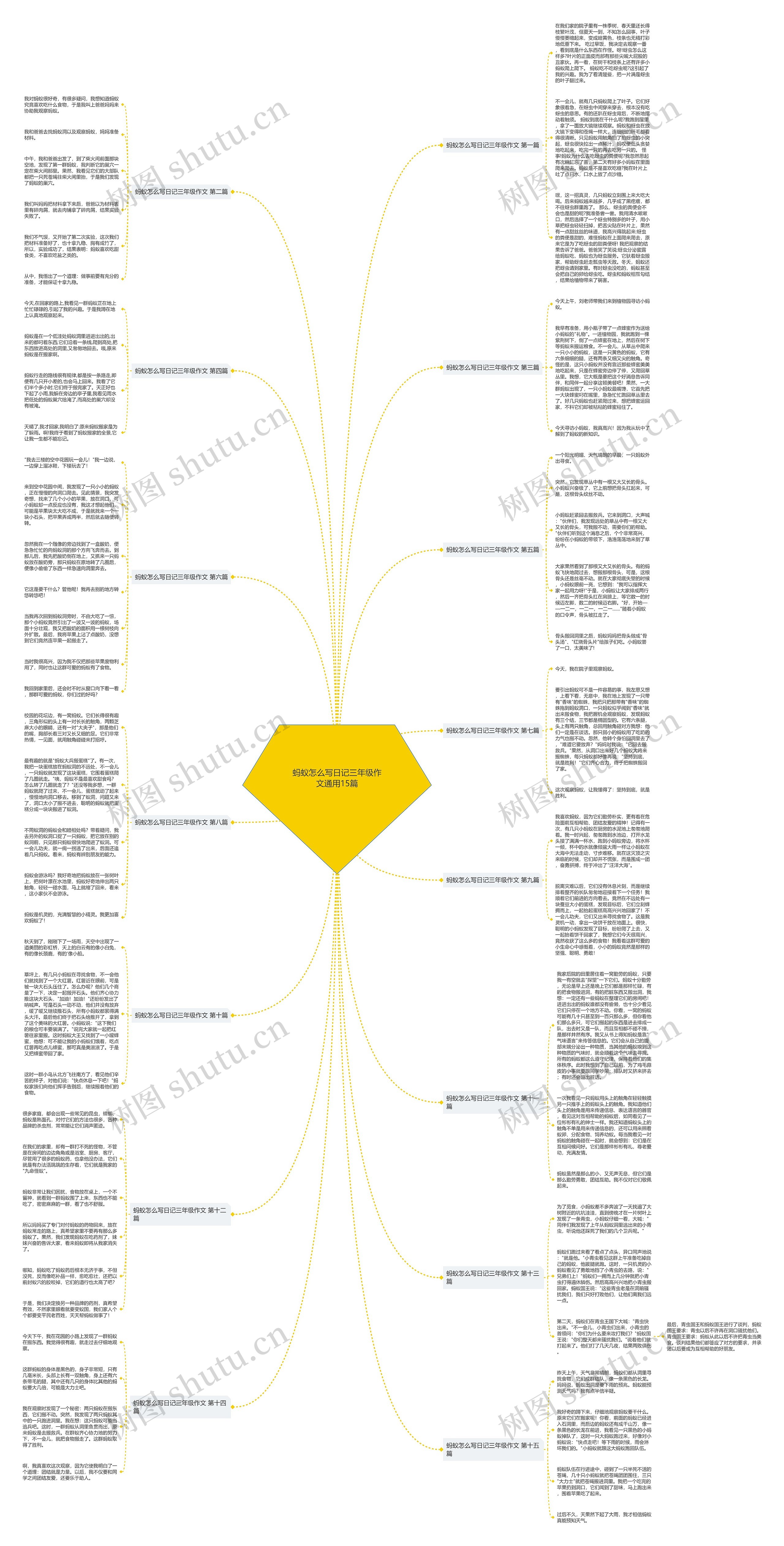 蚂蚁怎么写日记三年级作文通用15篇思维导图
