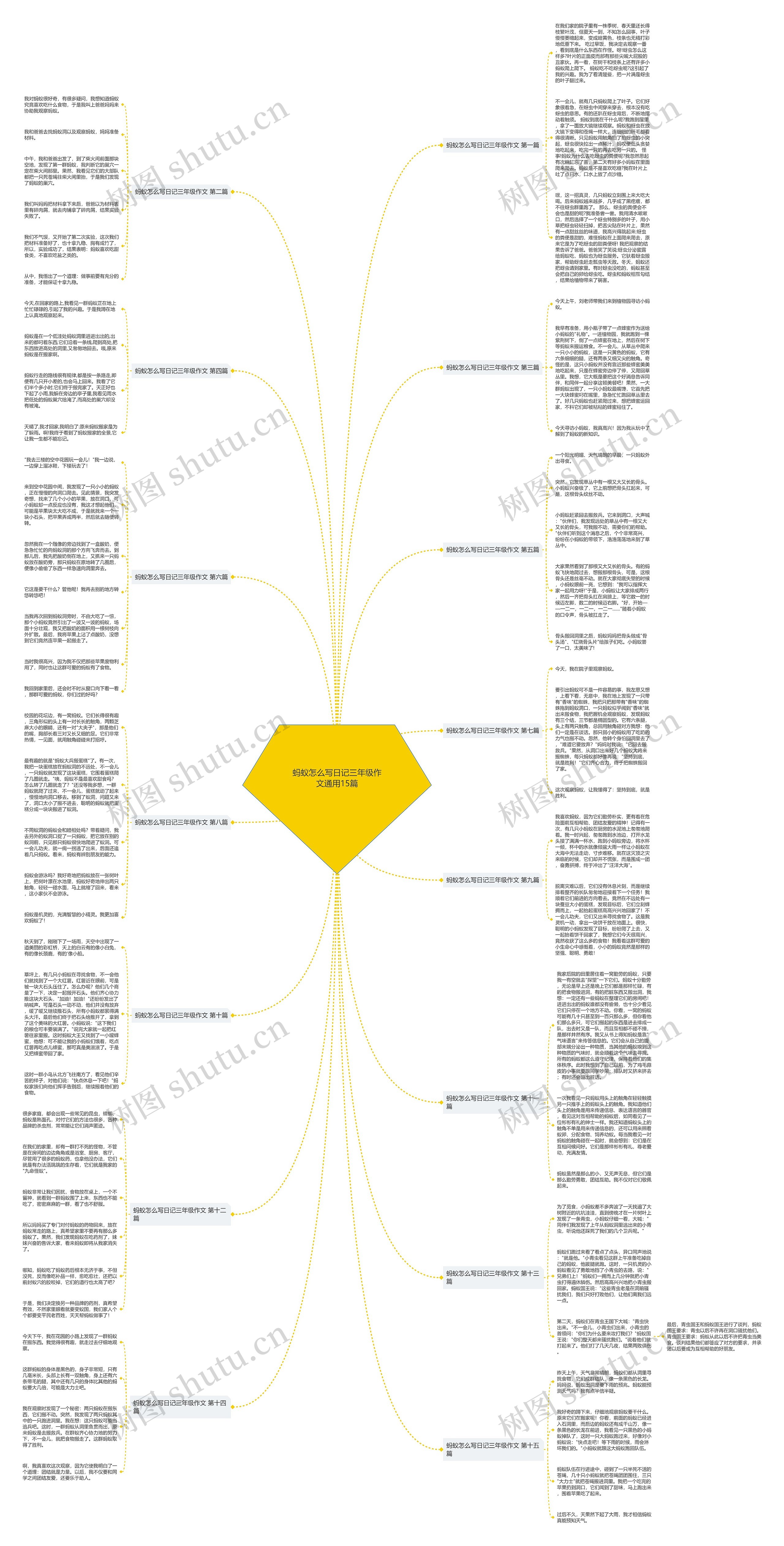 蚂蚁怎么写日记三年级作文通用15篇 蚂蚁怎么写日记三年级作文通用15篇